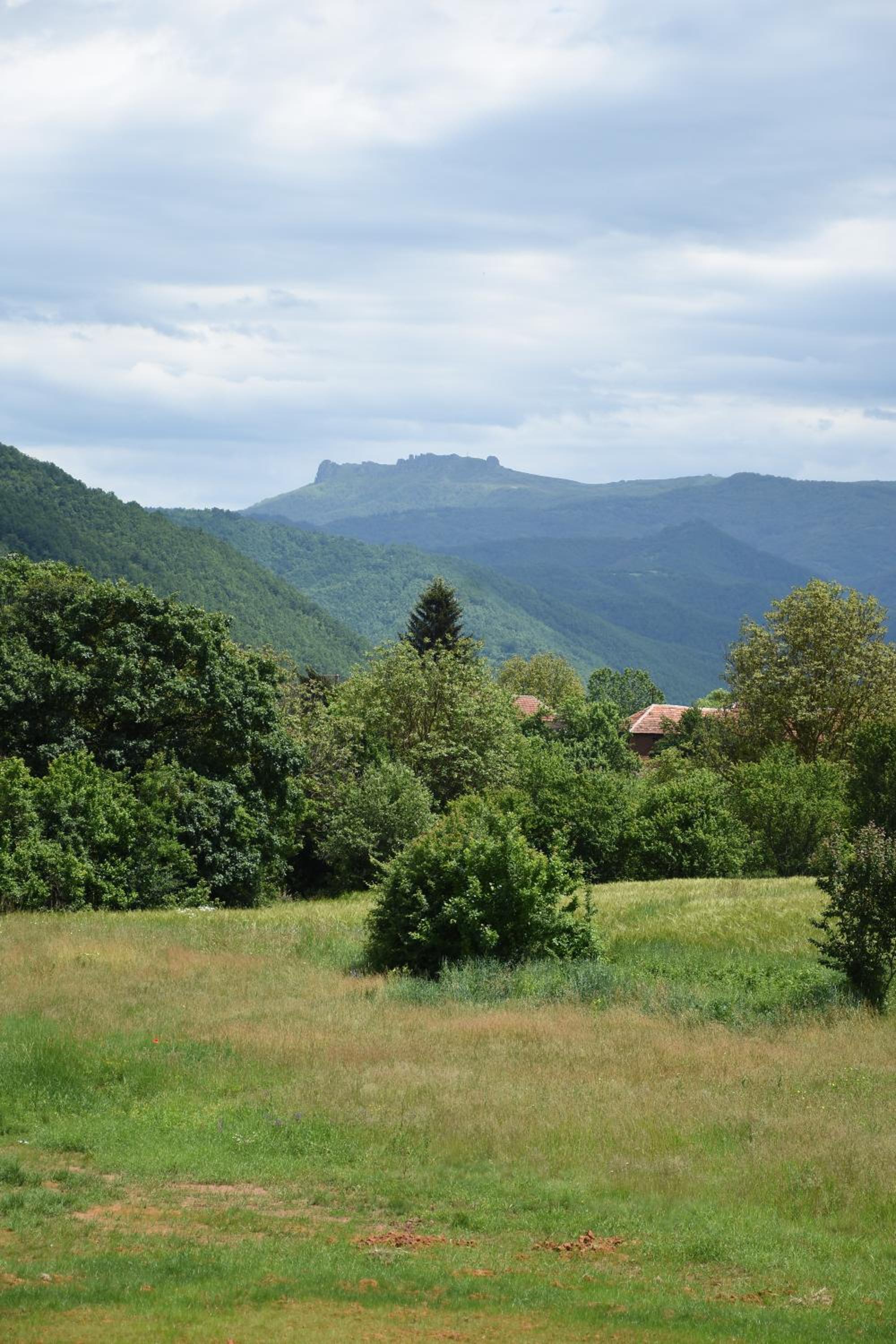 Kod Bogdanovica