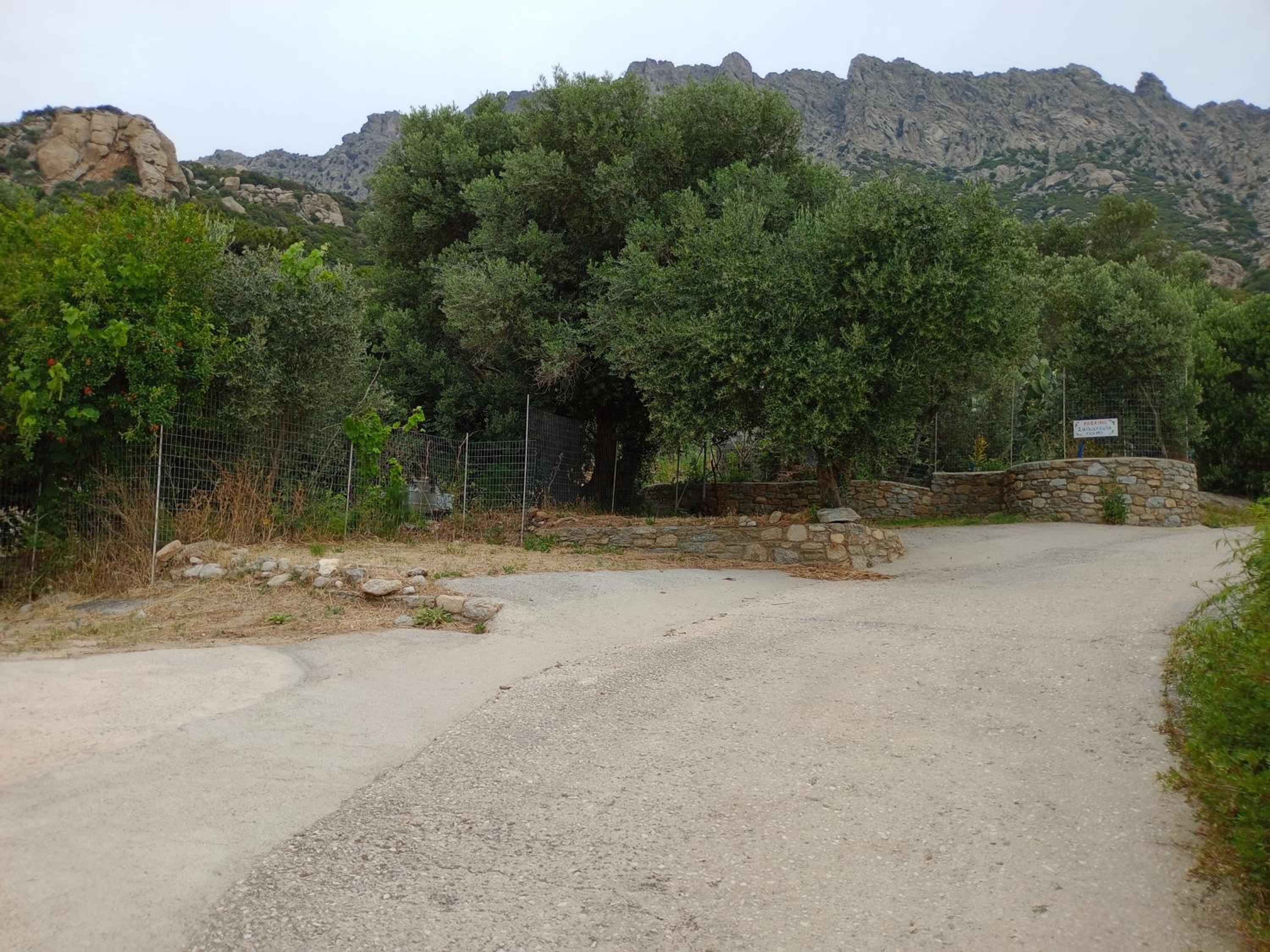 Photo 25