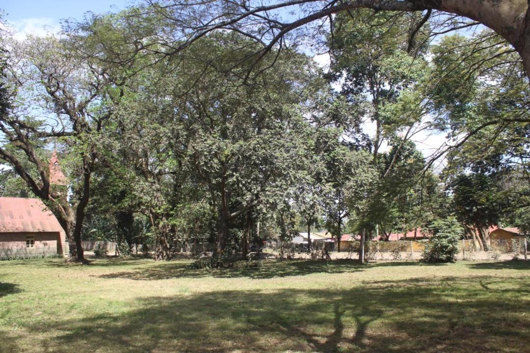 Kilimani gardens hostel view 3