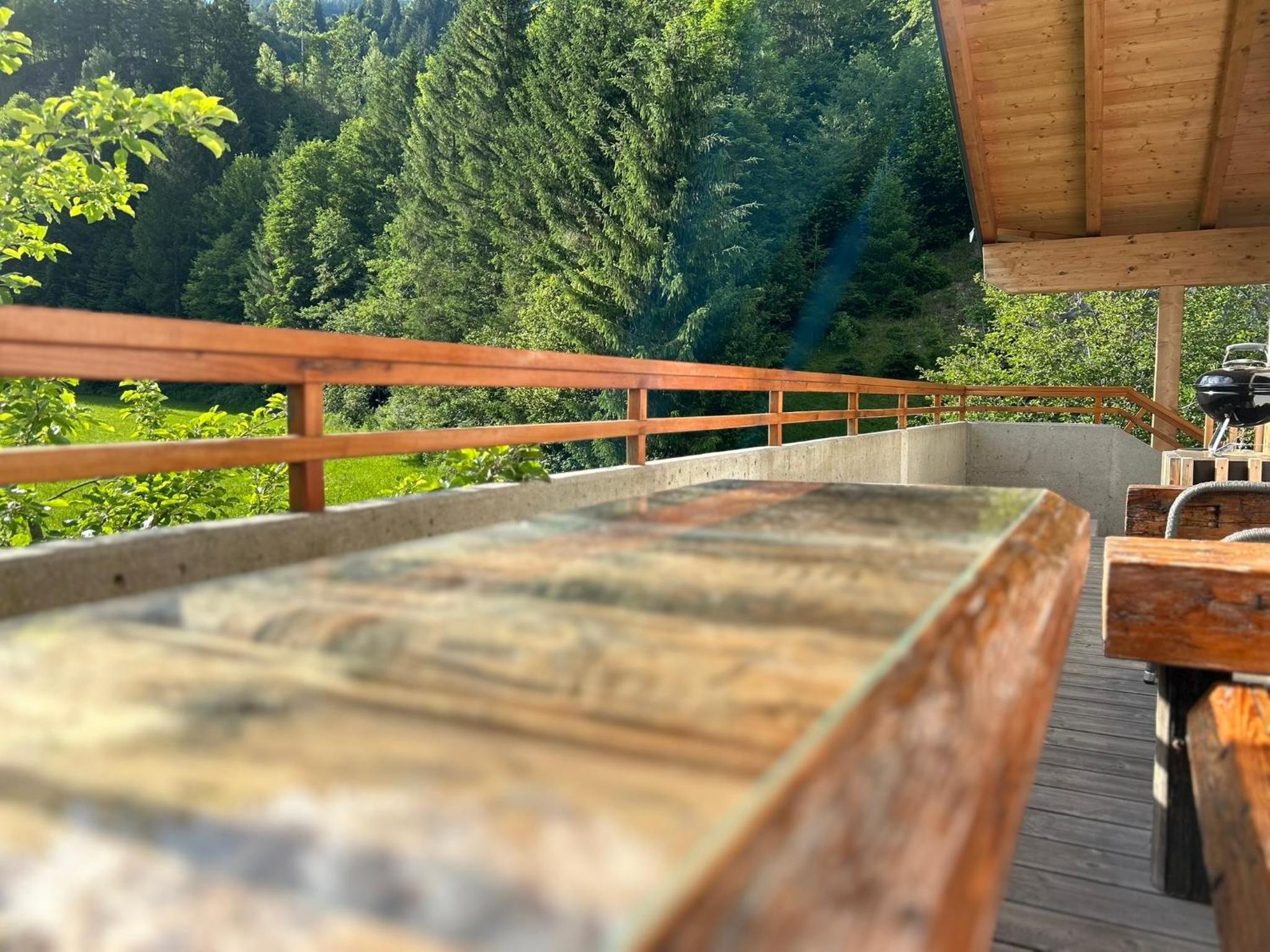 Bergblick Apartment view 3