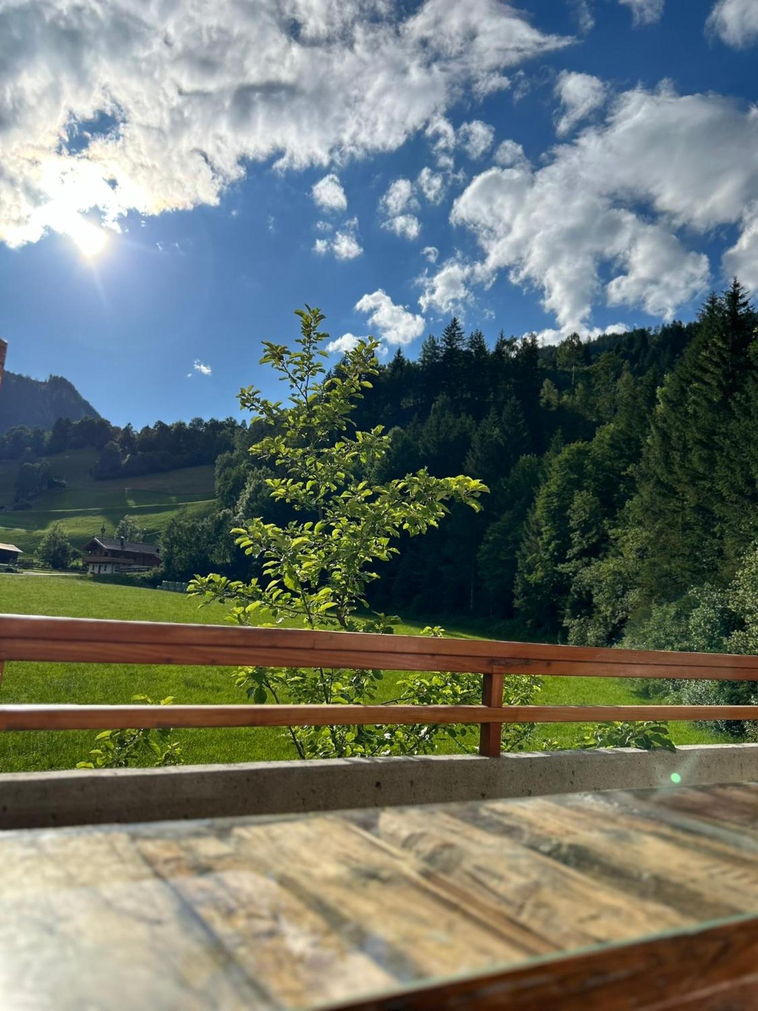 Bergblick Apartment view 2