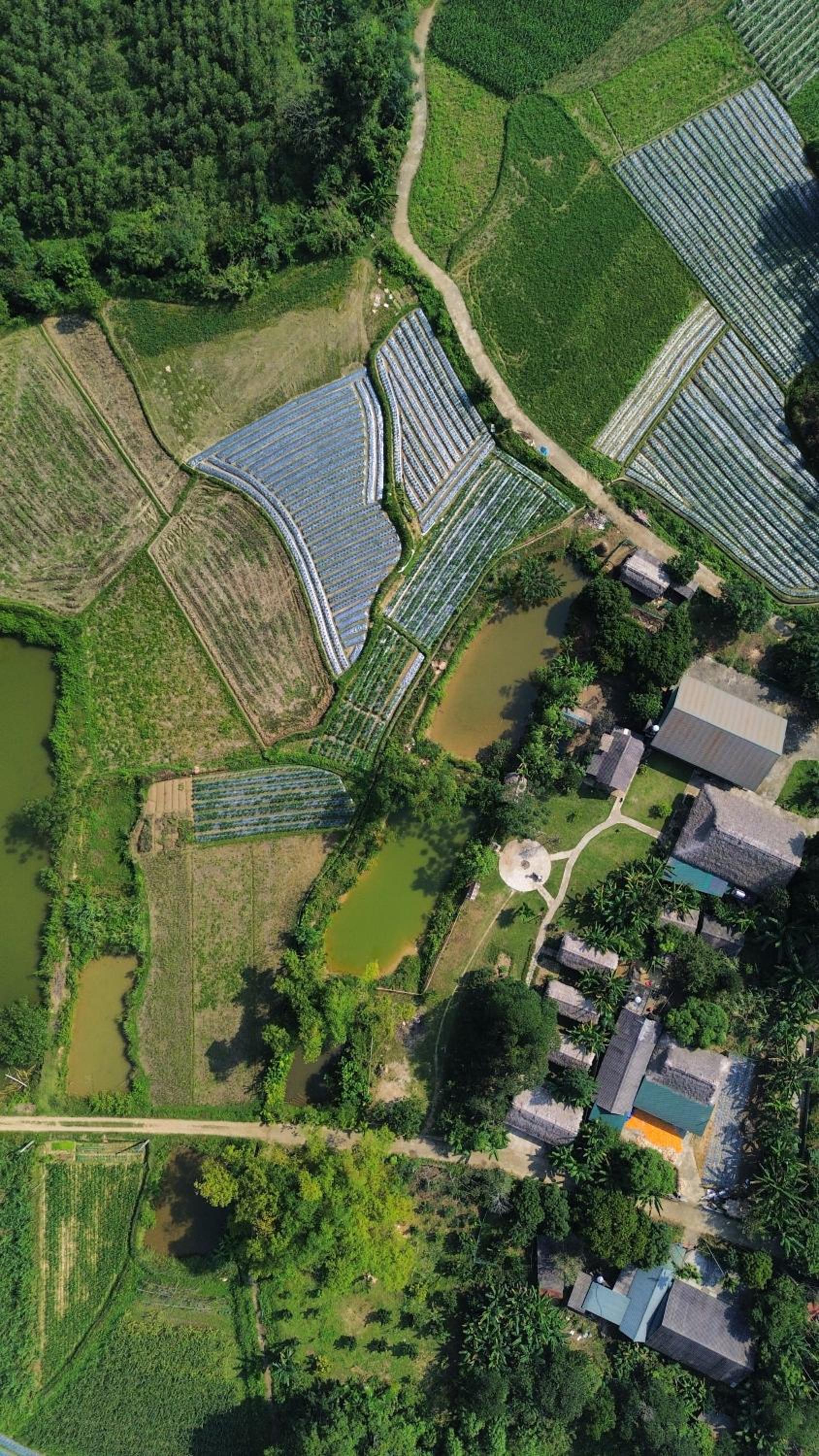 Ngoặng homestay - phòng nghỉ trọ