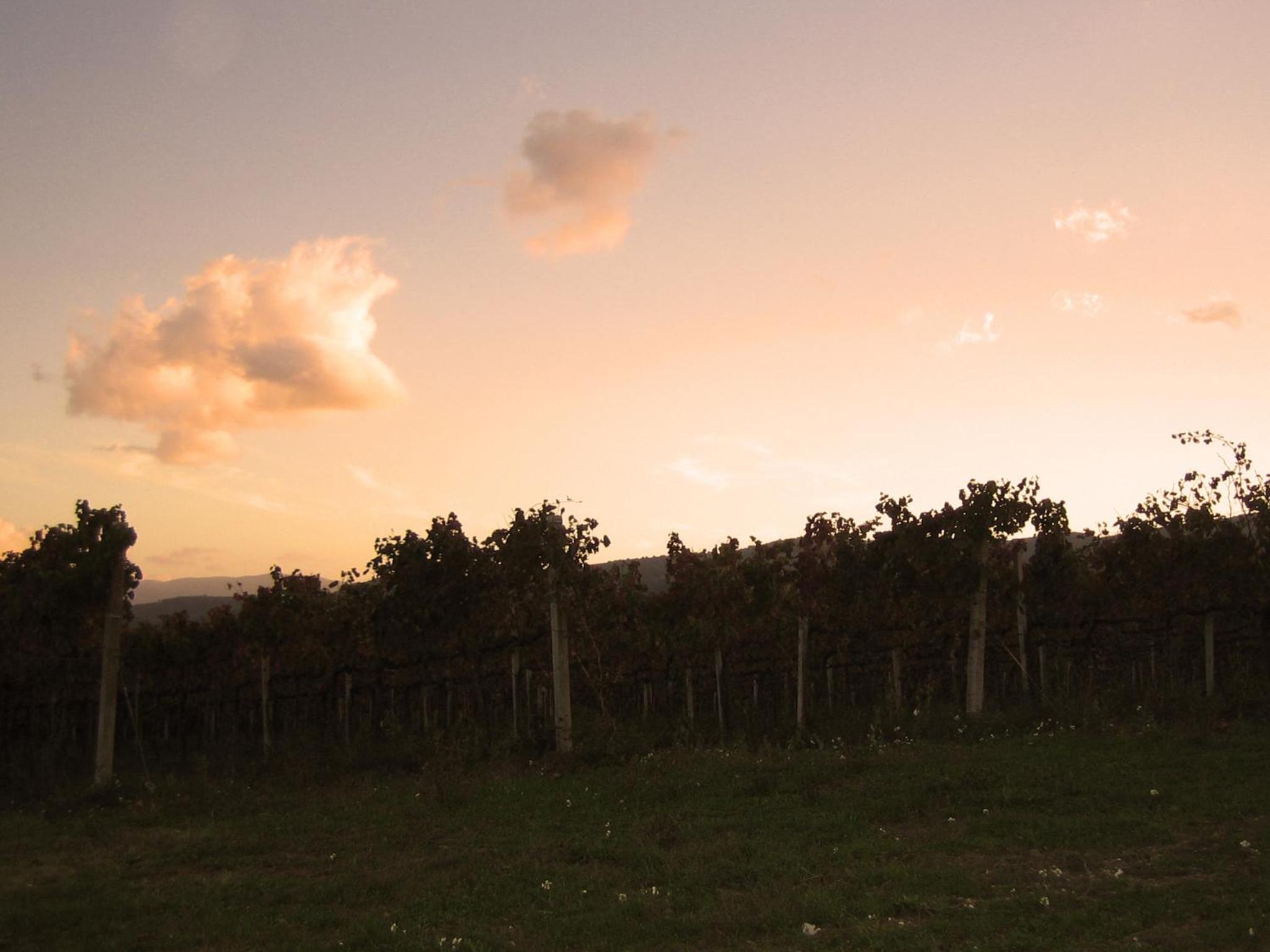 Agriturismo Il Mulino del Vescovo