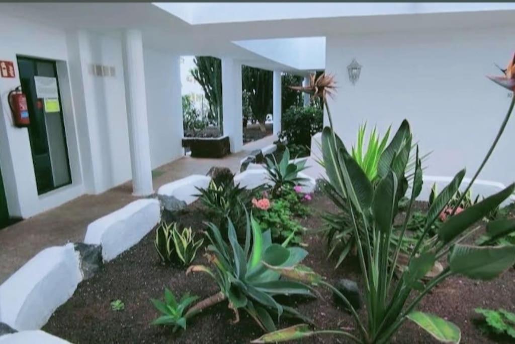BrisaMar Costa Teguise