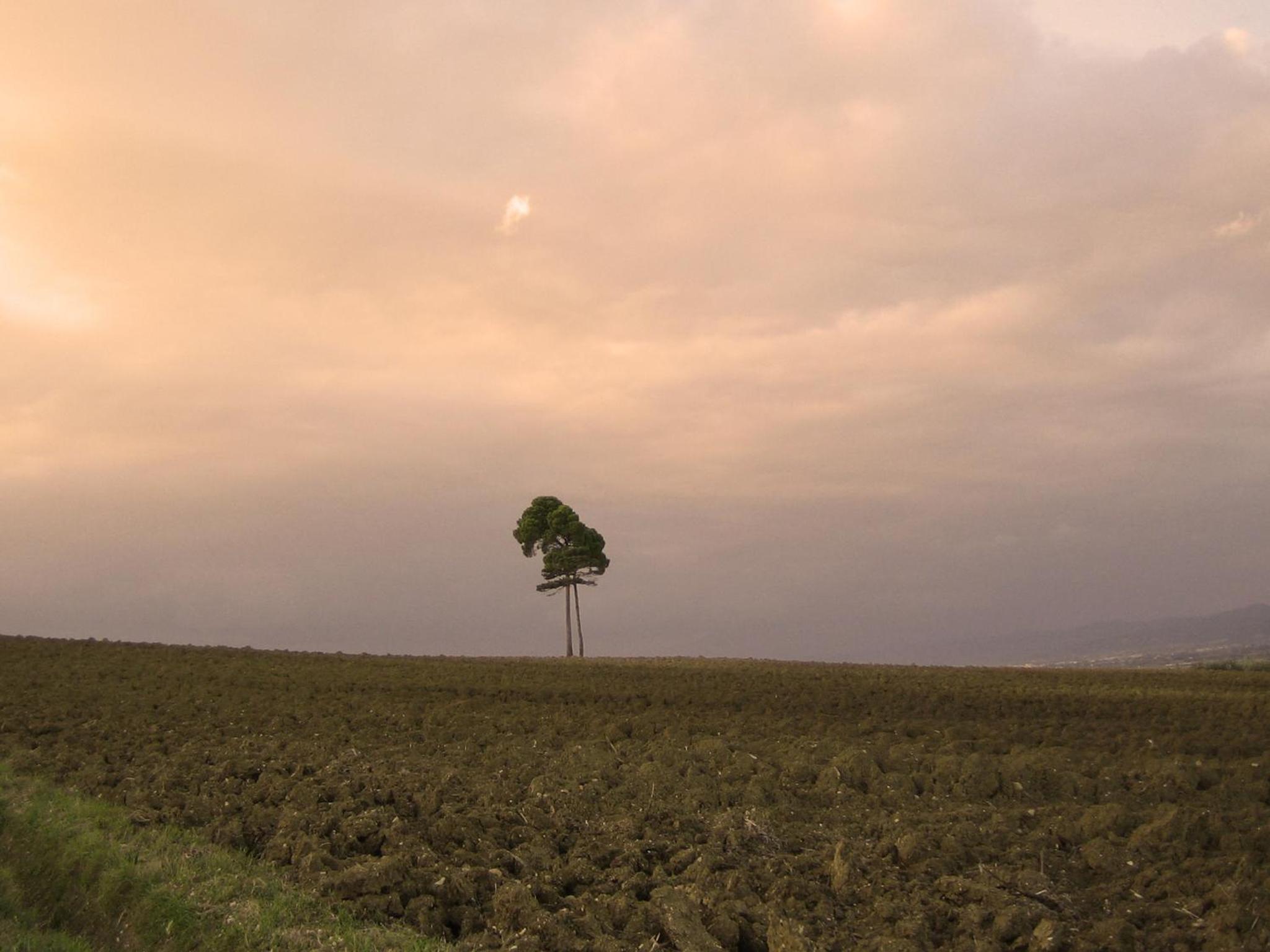 Agriturismo Il Mulino del Vescovo