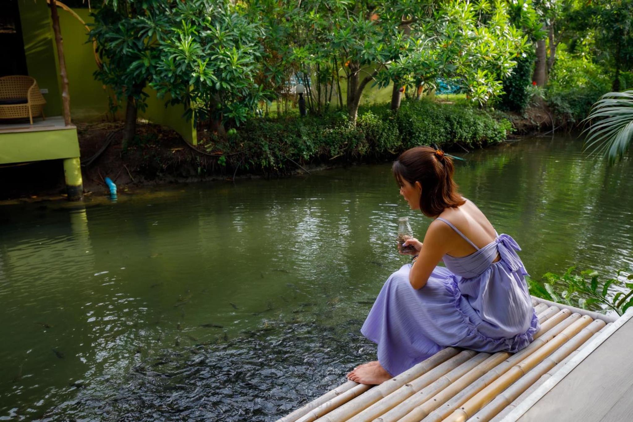Asita Eco Resort