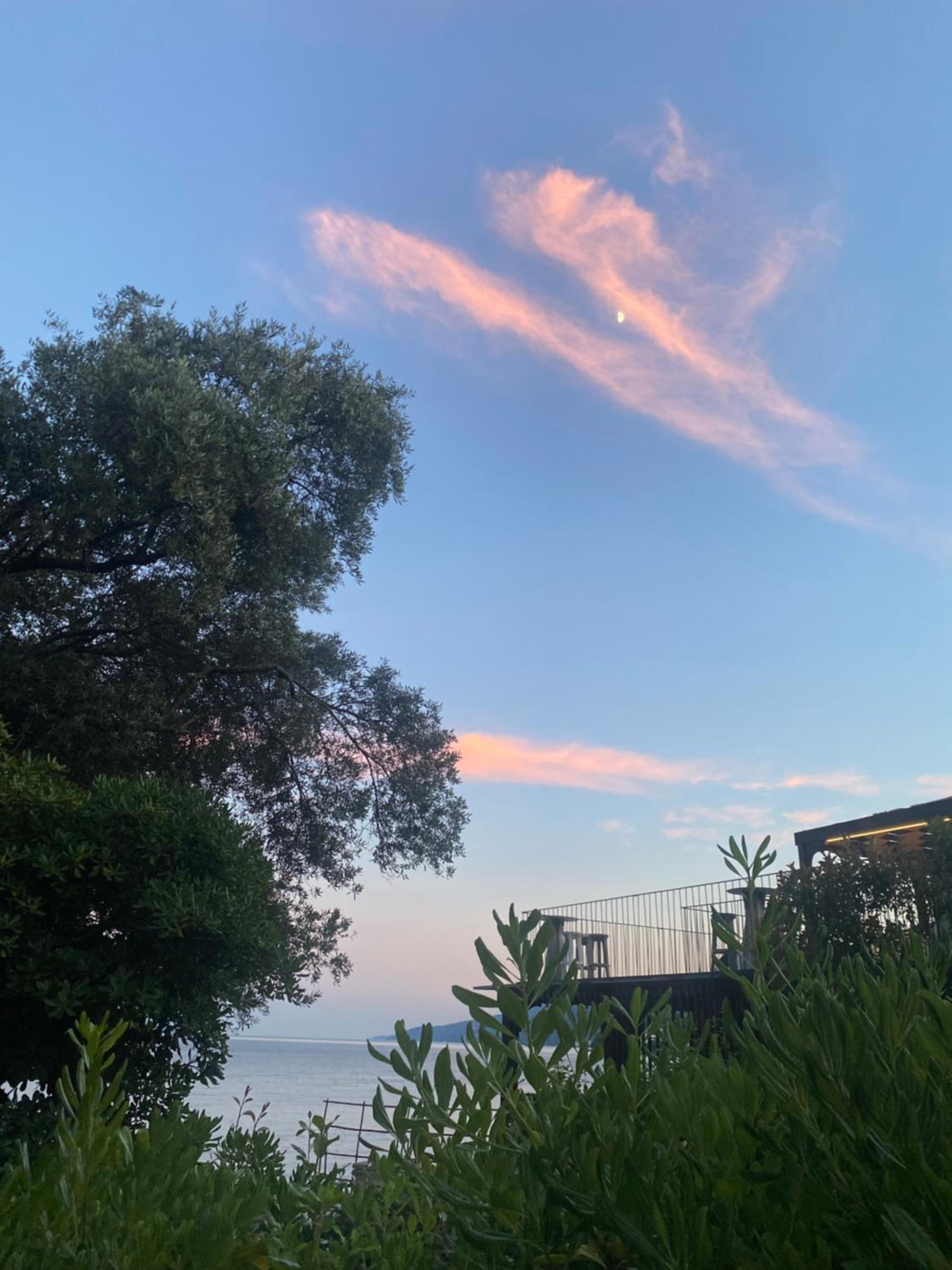 Lucy view 5