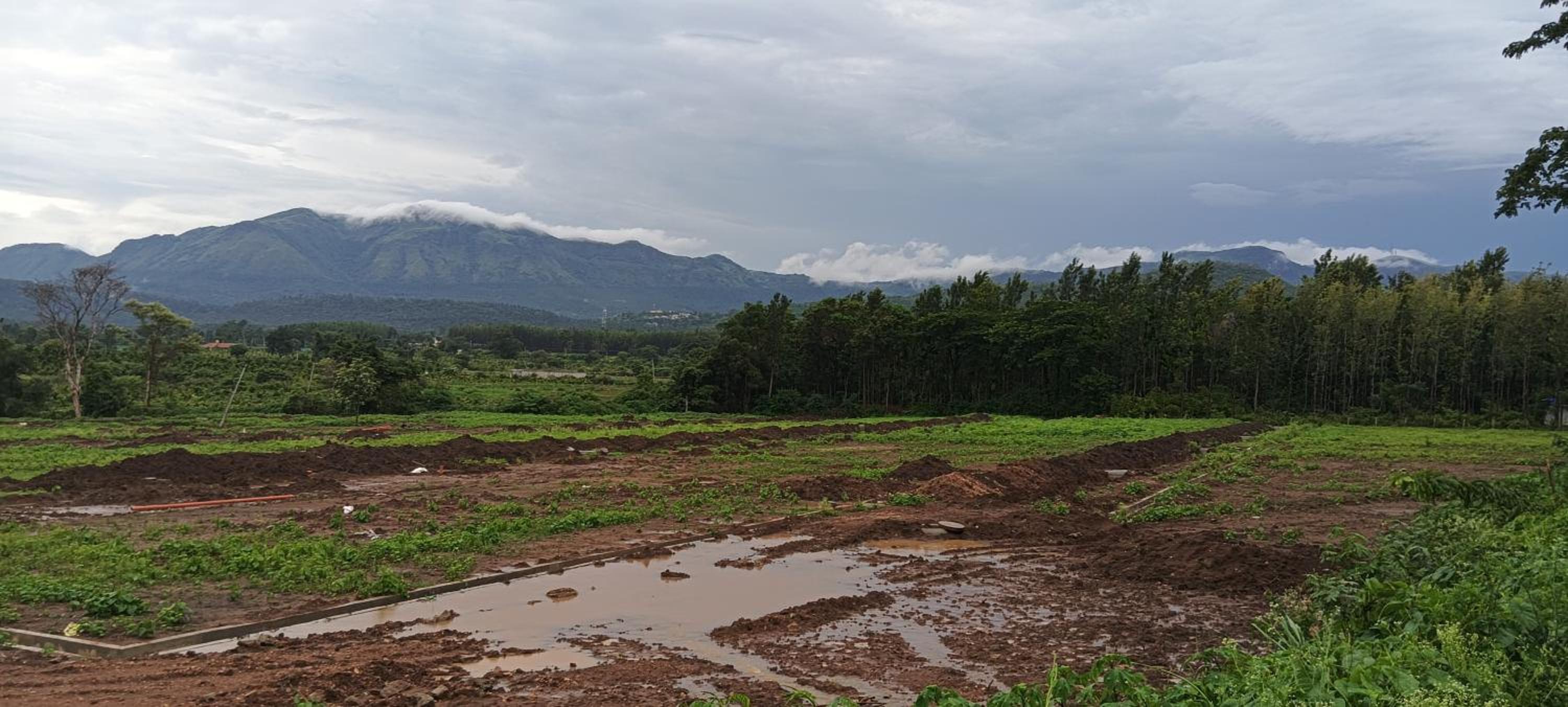 Malgudi Mane Homestay