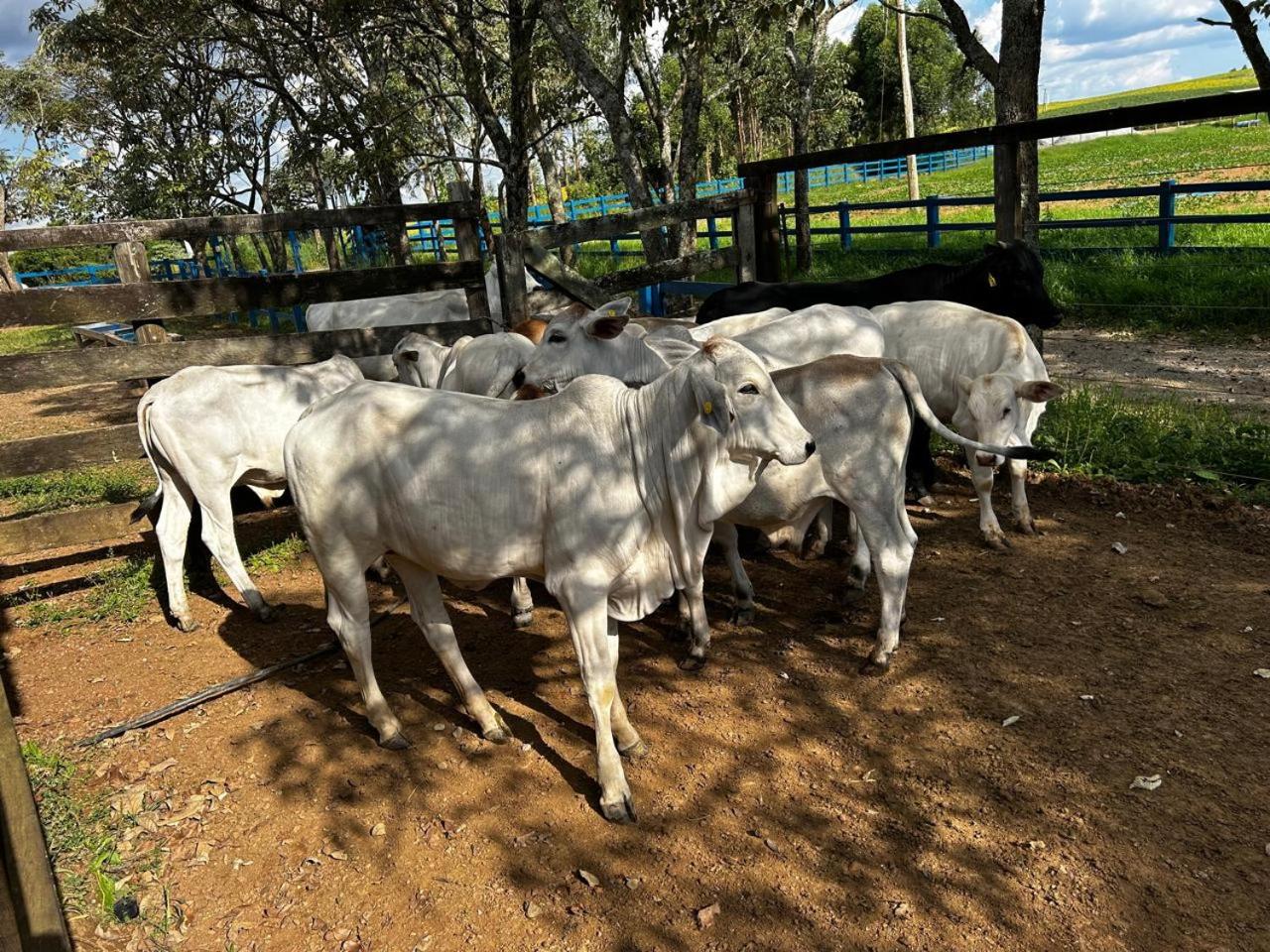 Fazenda Capão da Onça