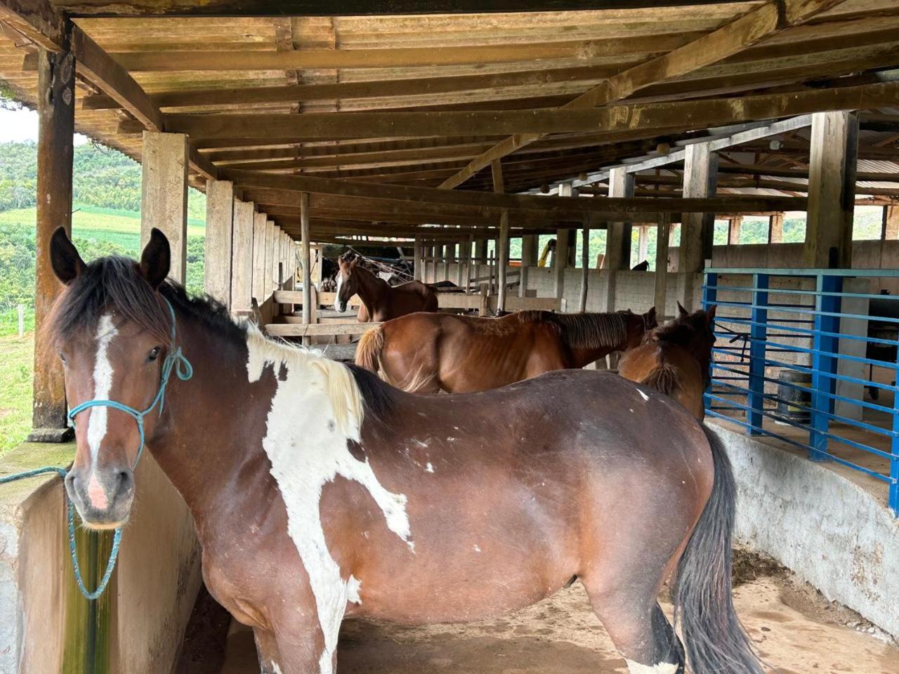 Fazenda Capão da Onça