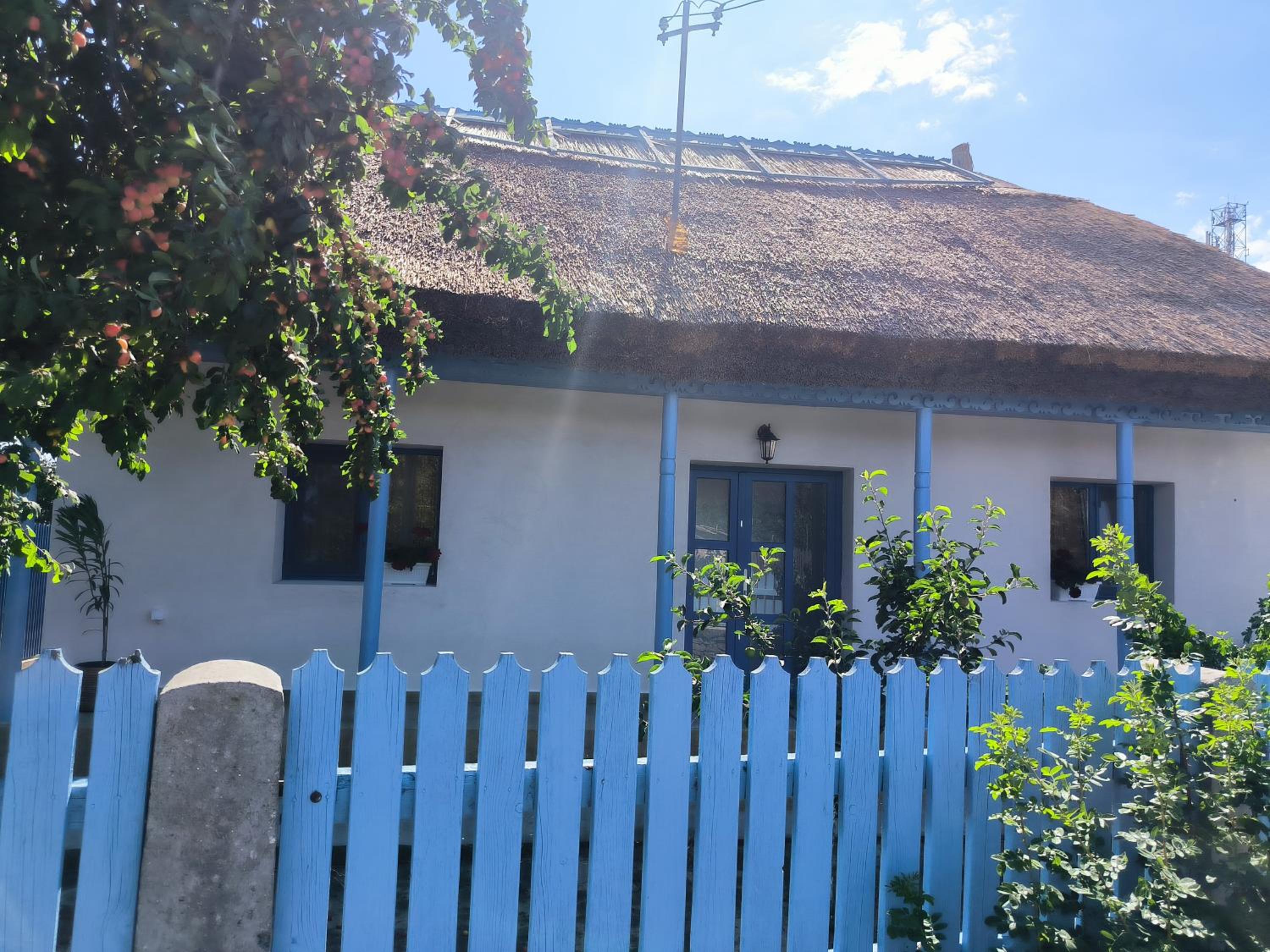 Photo 22