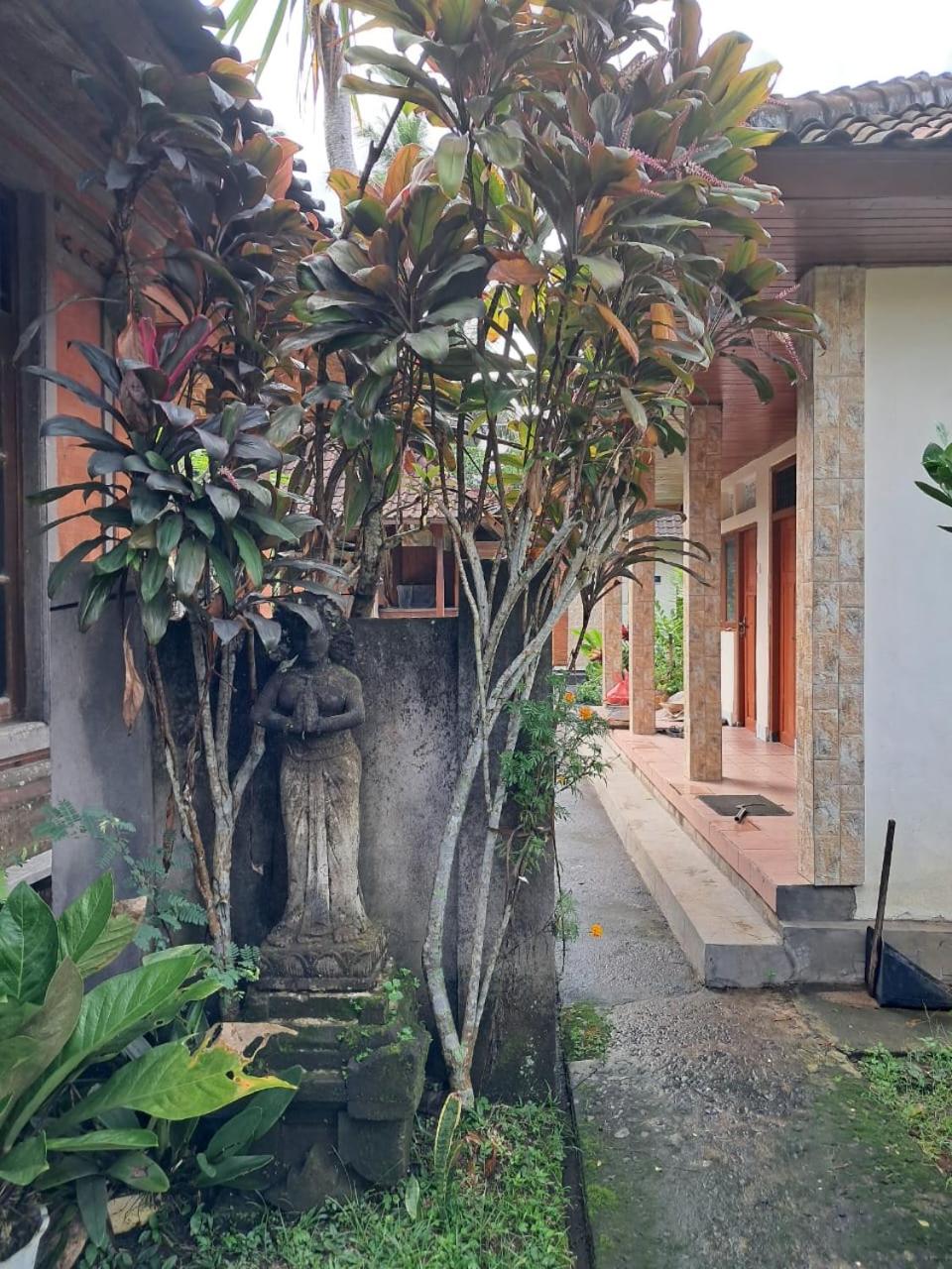 Wisuda Guest House view 2