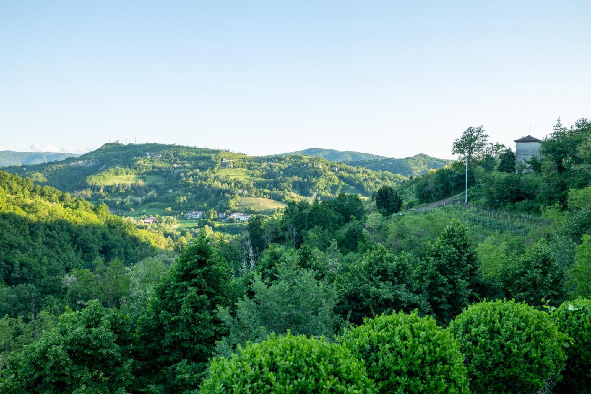 Tenuta Moncarlino