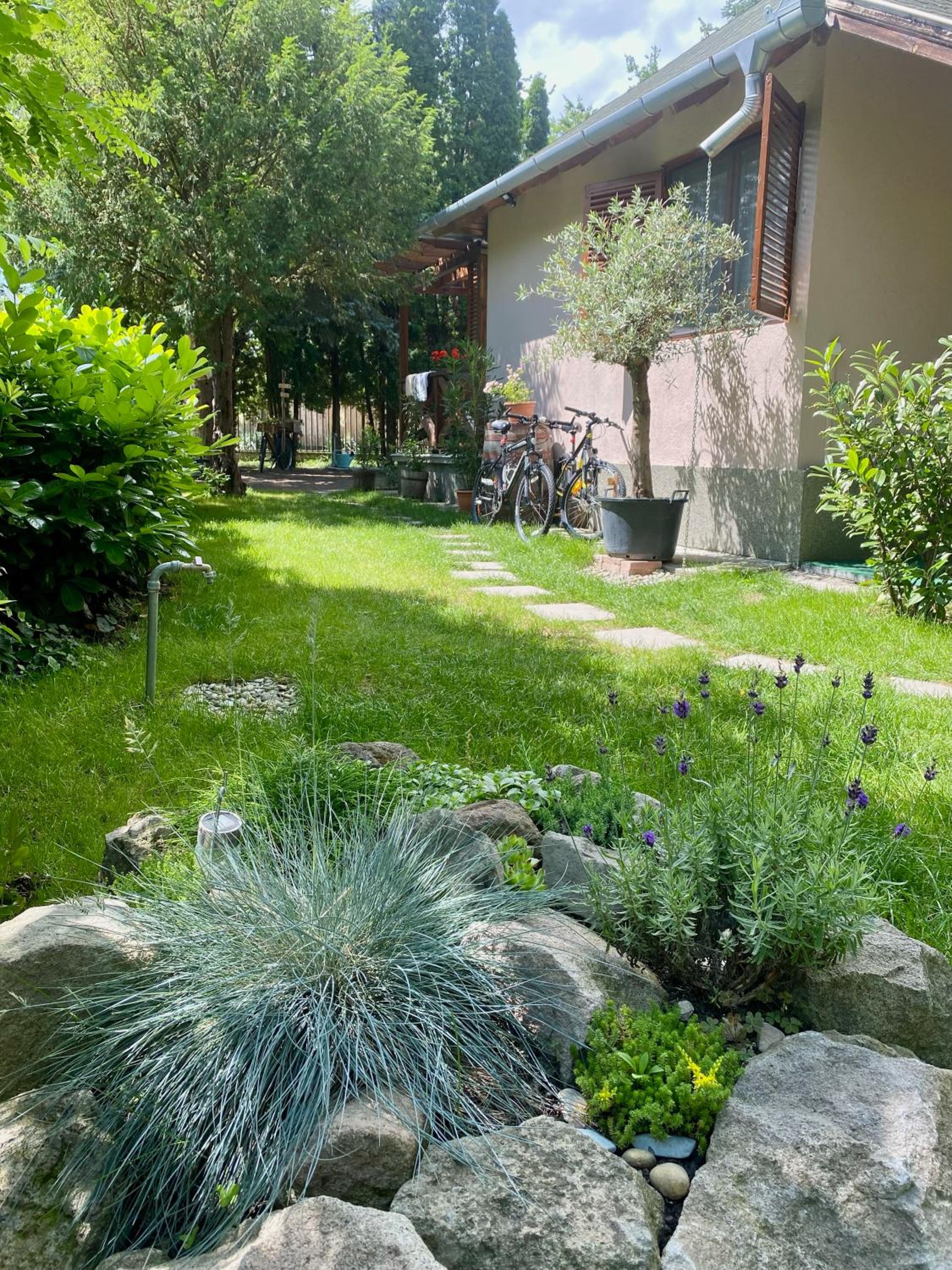 Photo 37