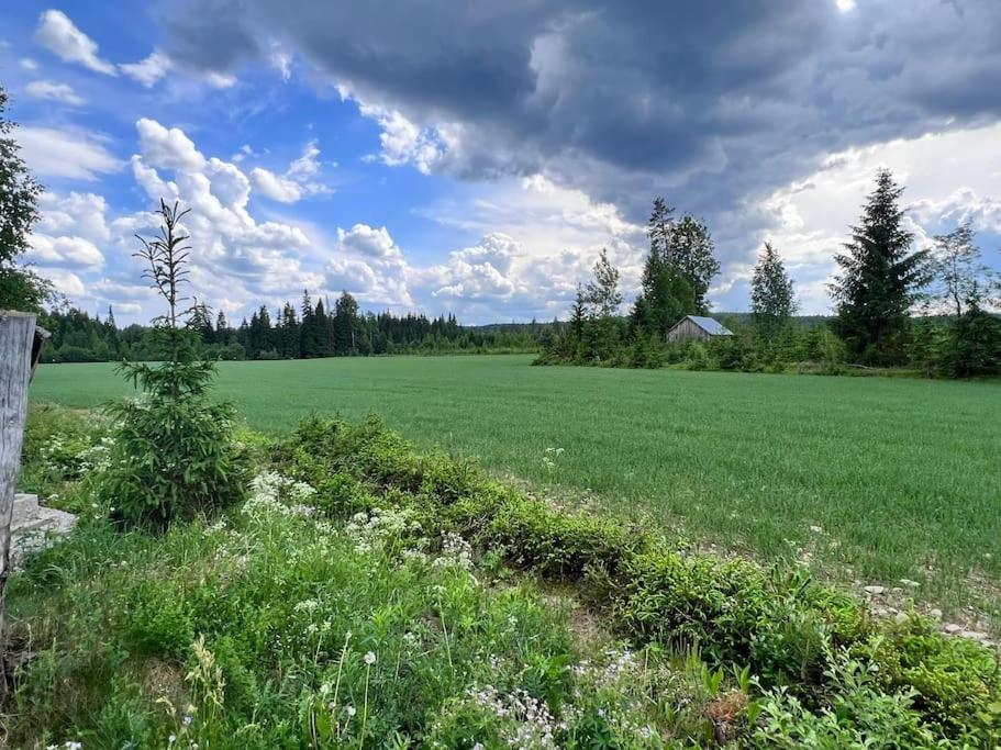 KoloCabins - Hiitolanjoki 2 view 3