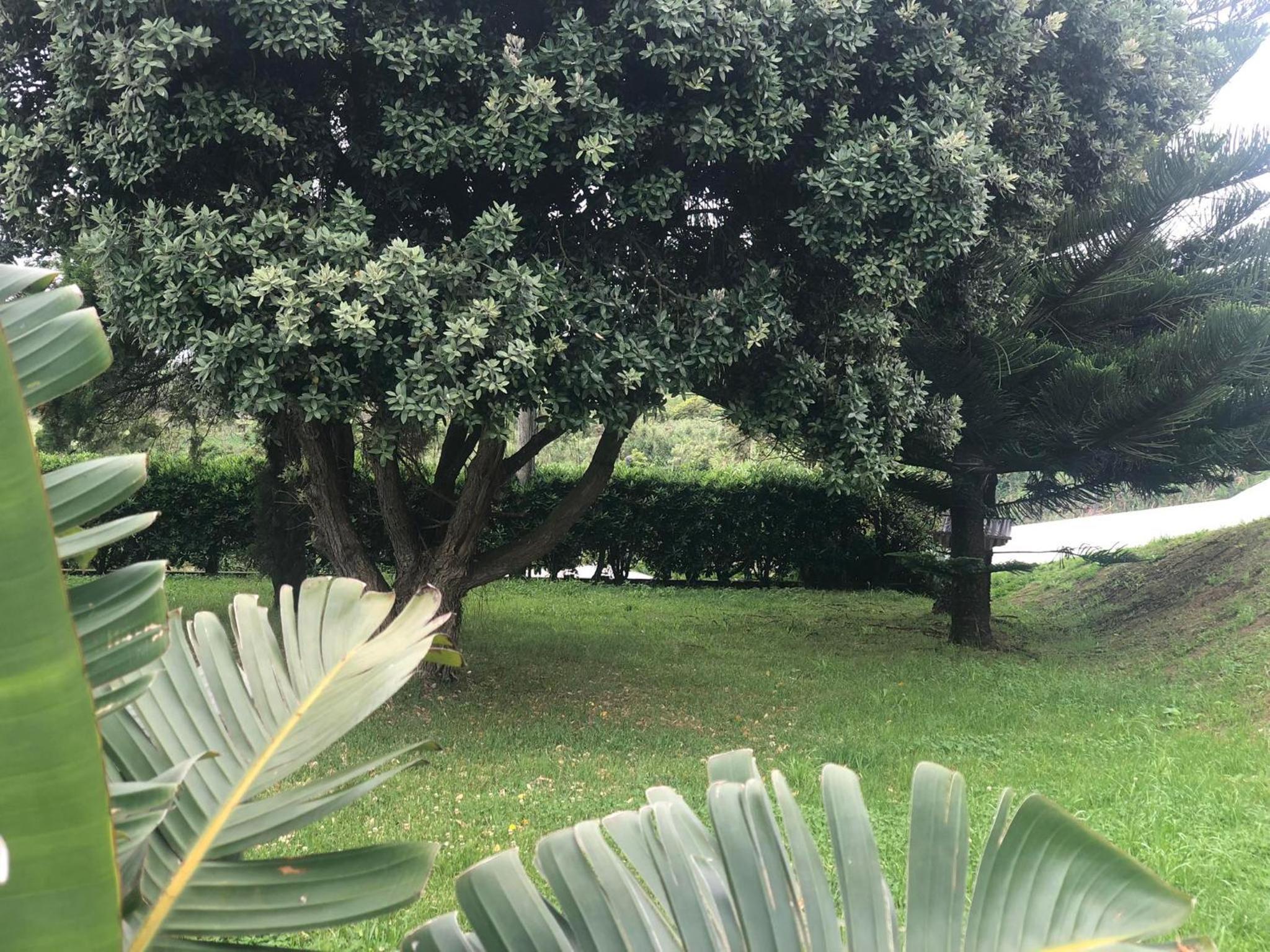 Photo 48