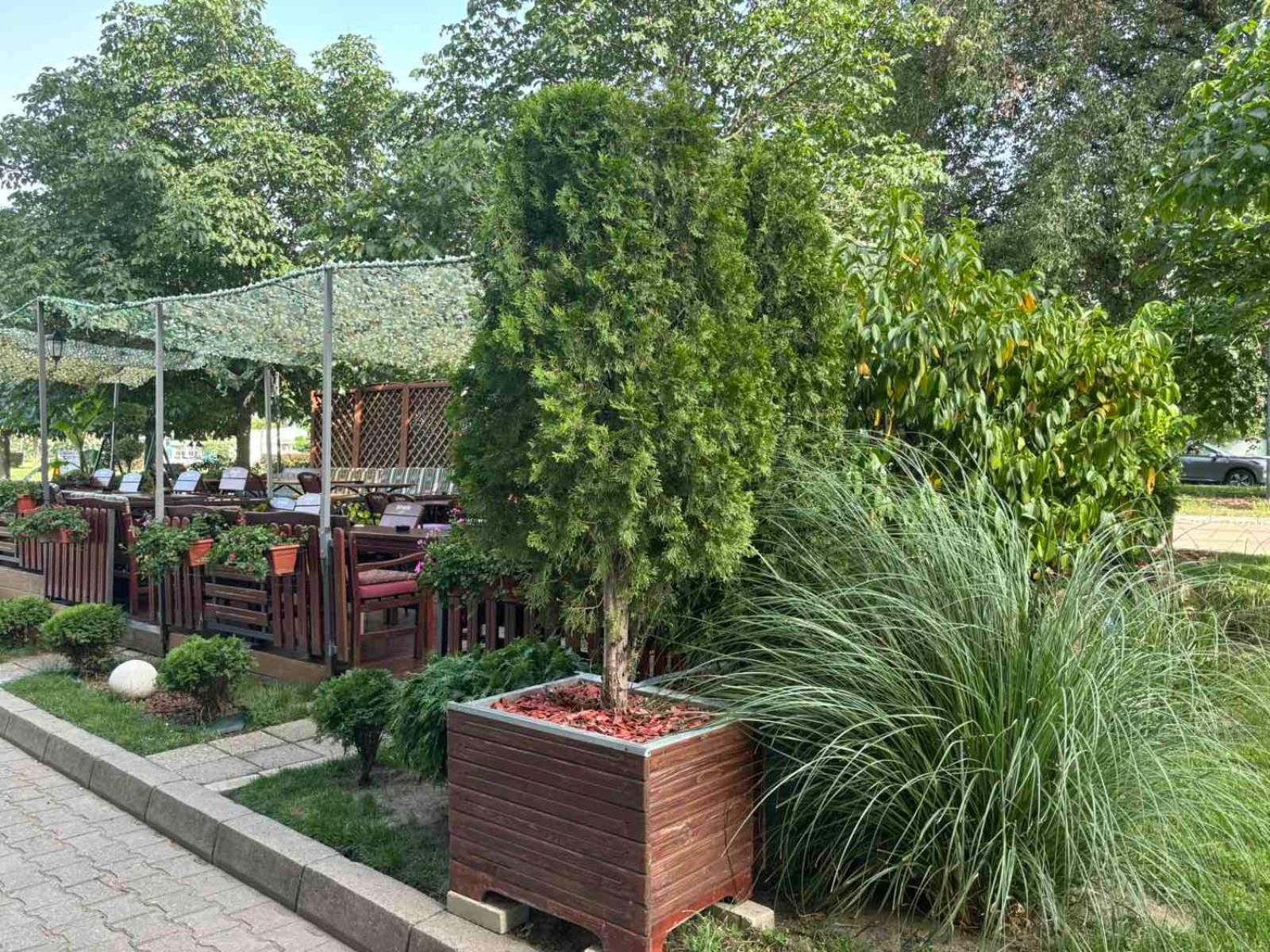 City Apartment Holgi