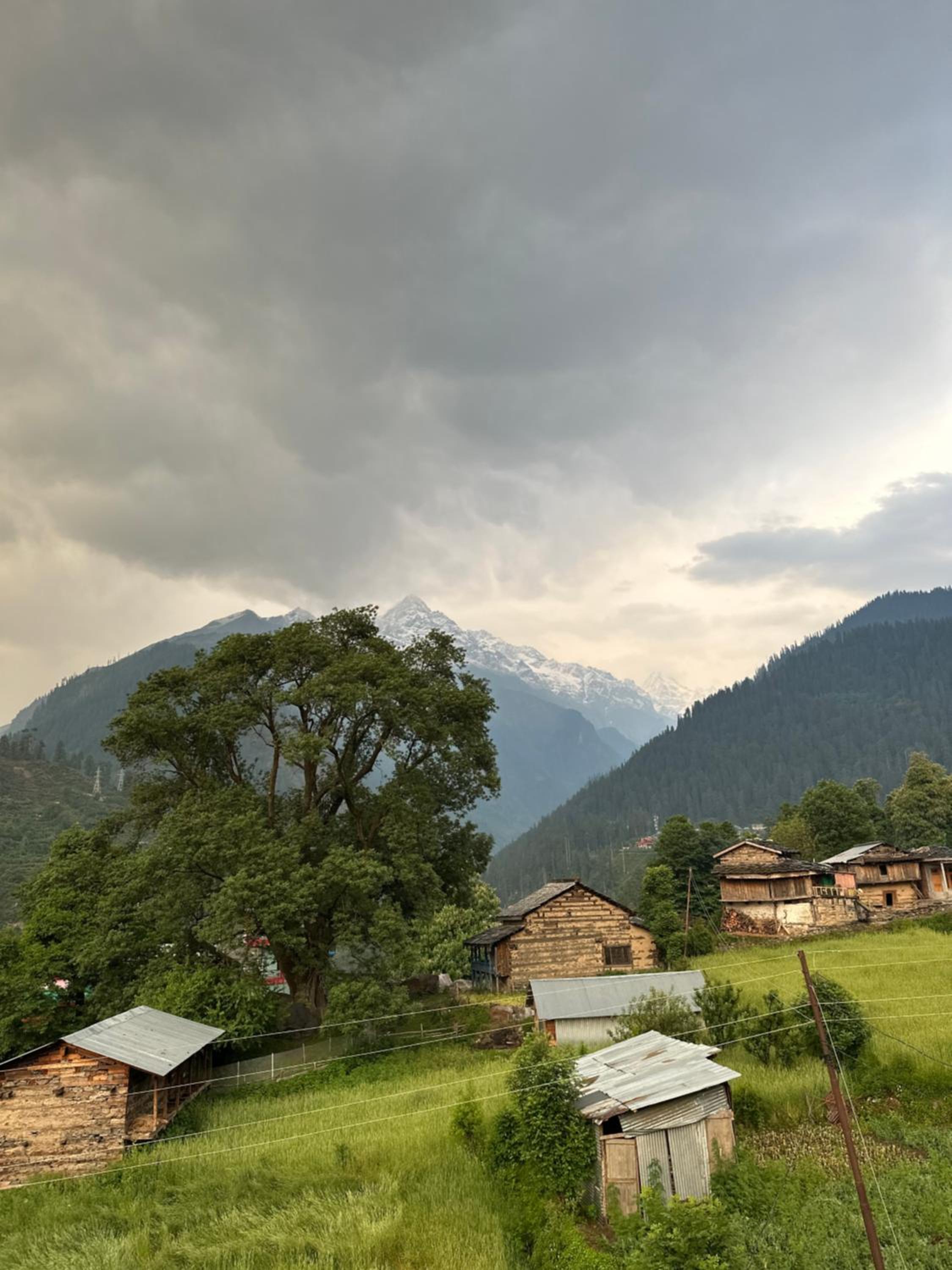 Pahadirovers Homestay & Cafe view 5