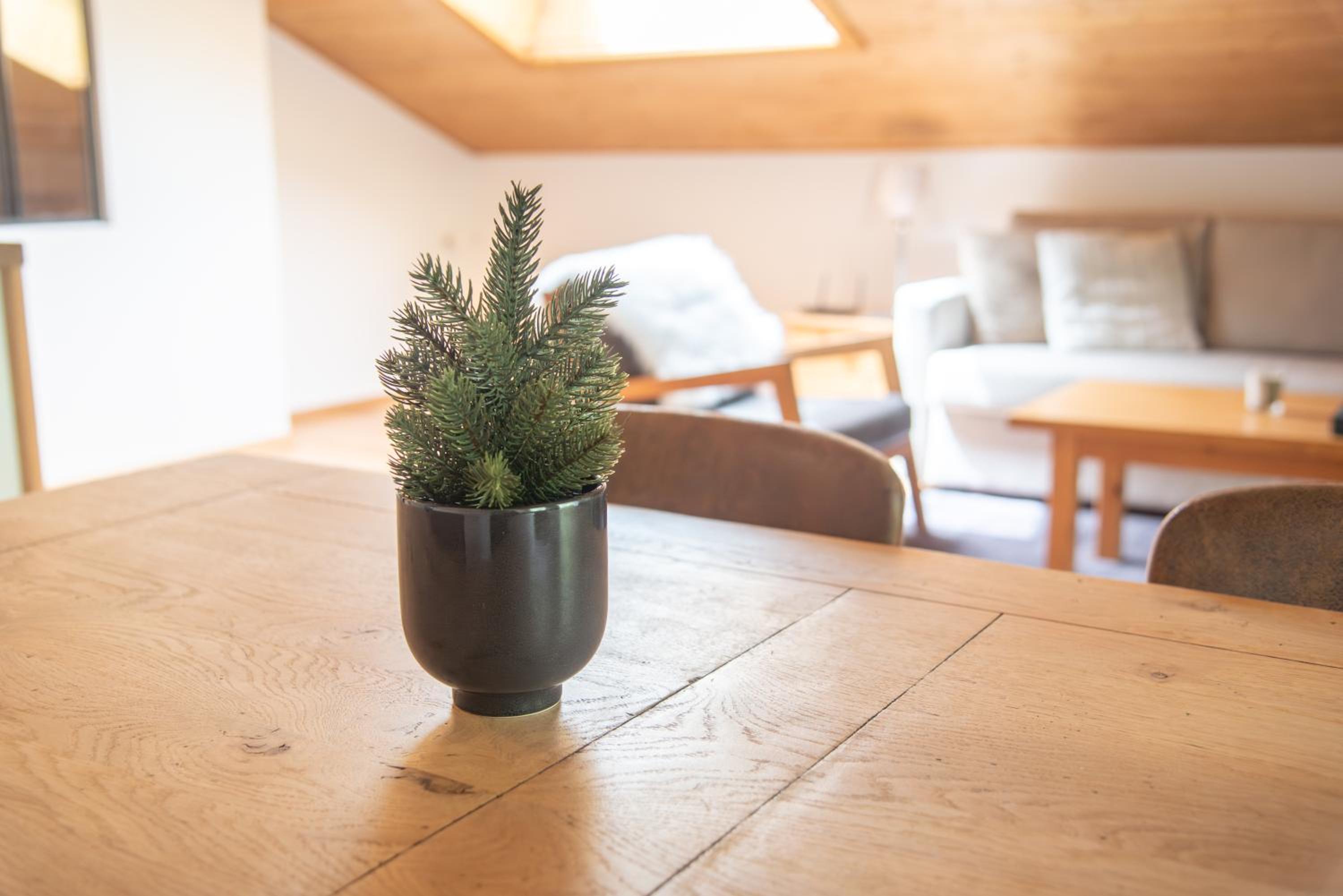 Appartement au centre du village à Anzère
