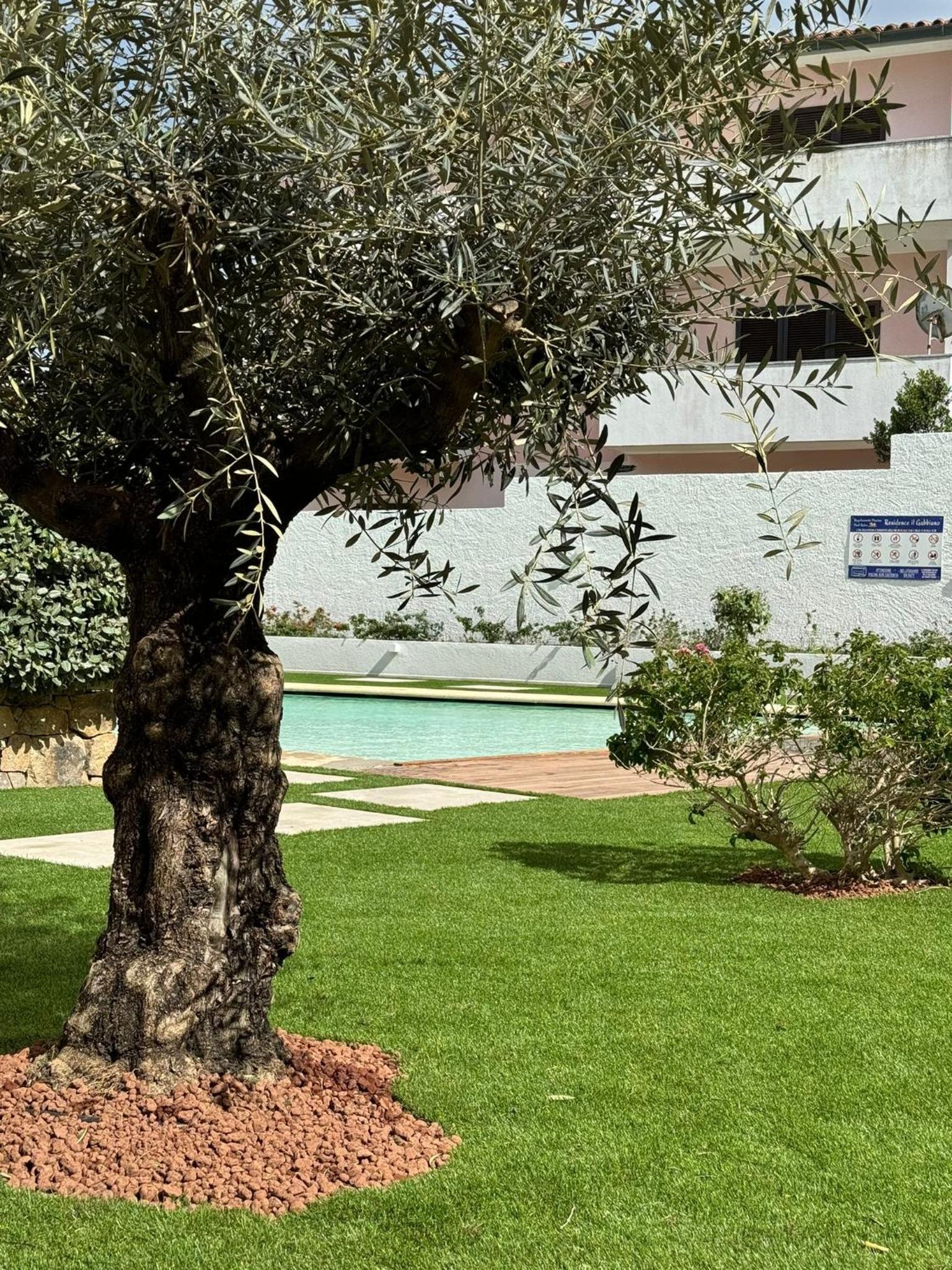 Sardinia Seaside Eden