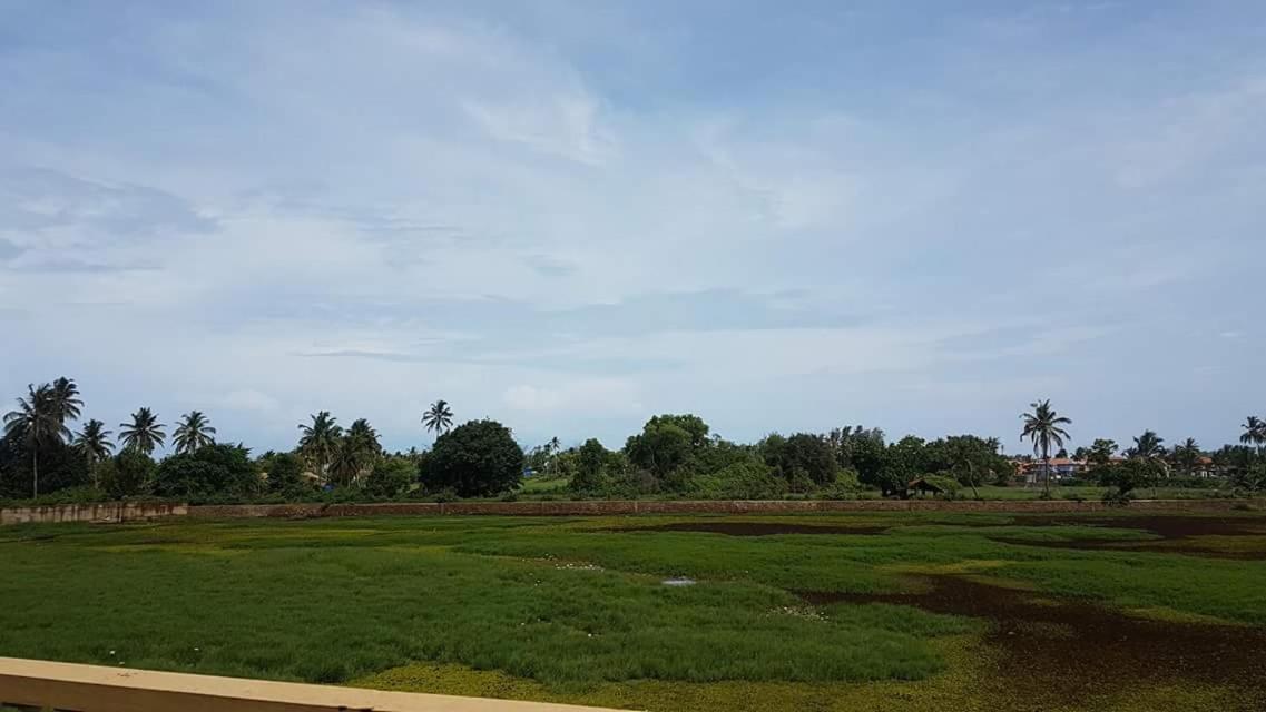Holiday Nest view 5