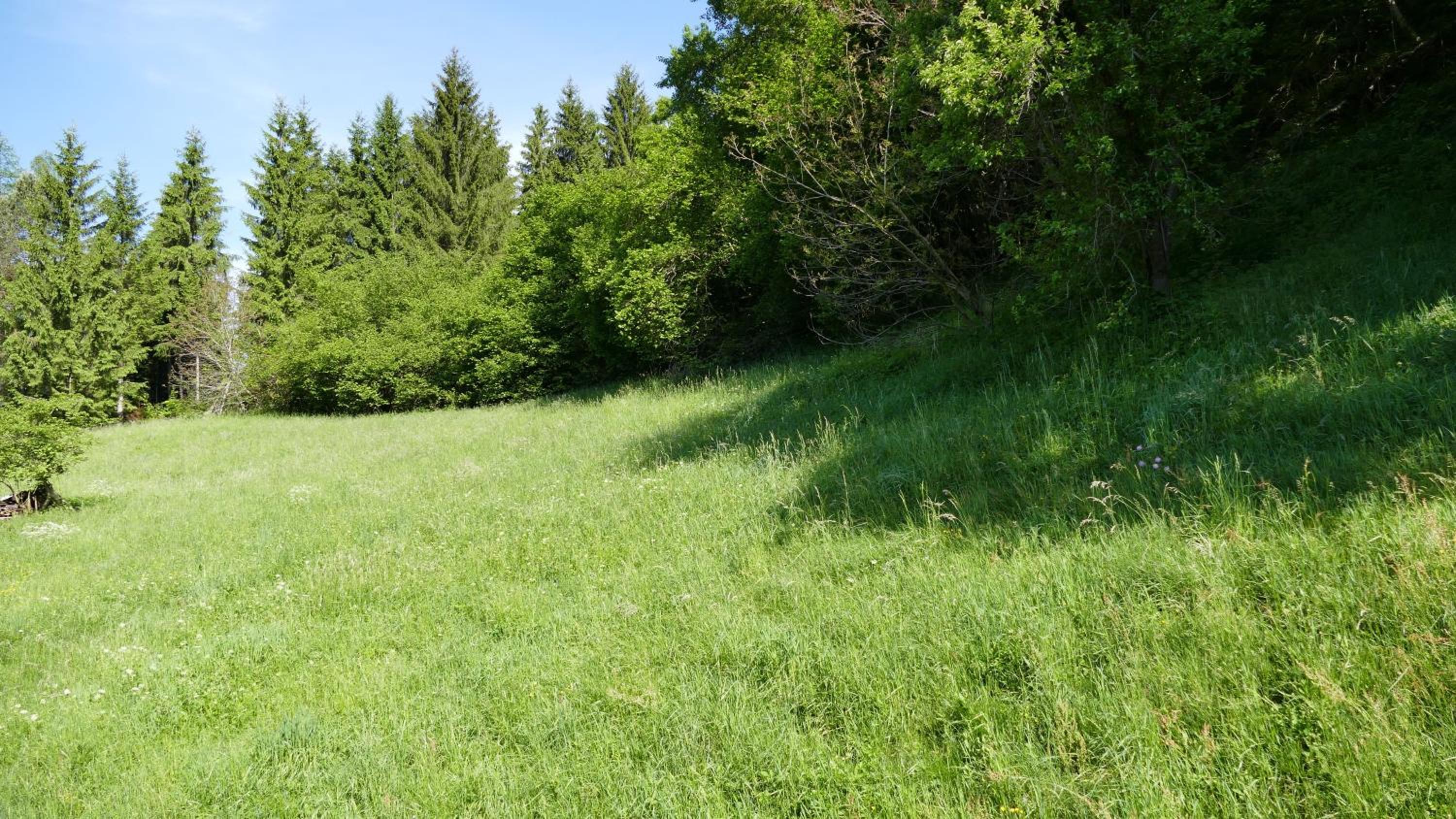 Sommerfrische in einem Landhaus der 1960er Jahre