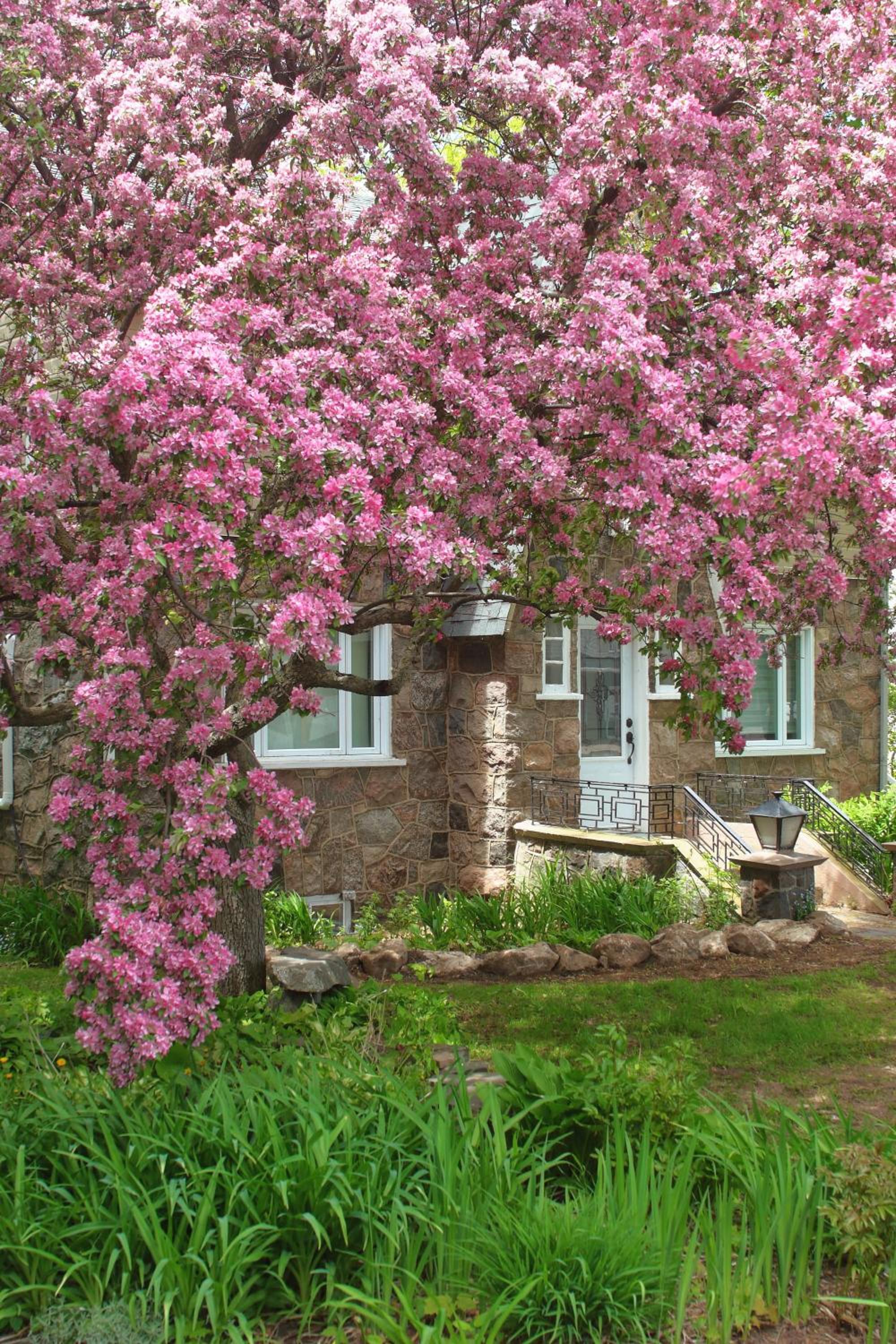 Rester Vivant Chambres d'hôtes