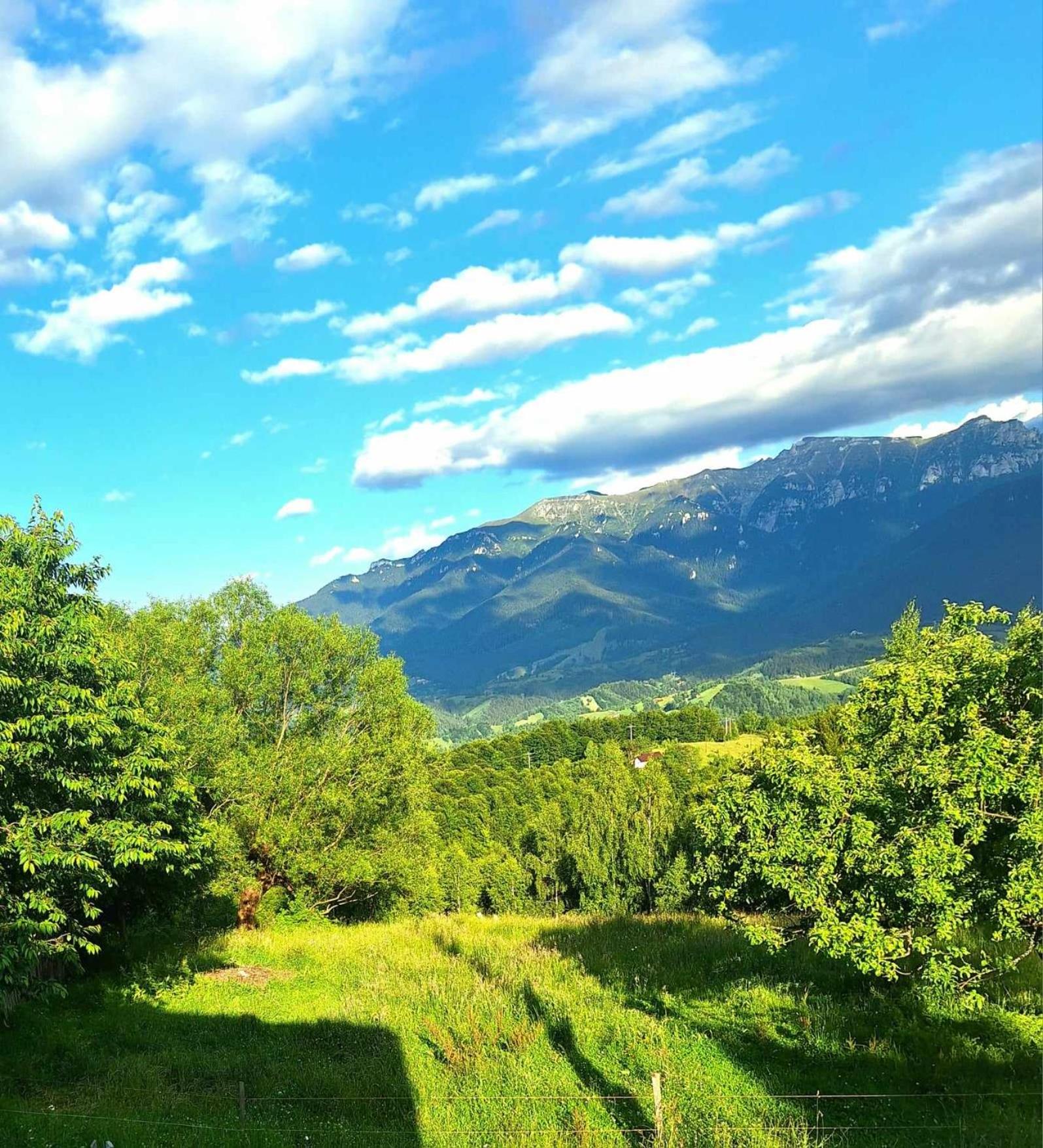 Casa Claudiu view 2
