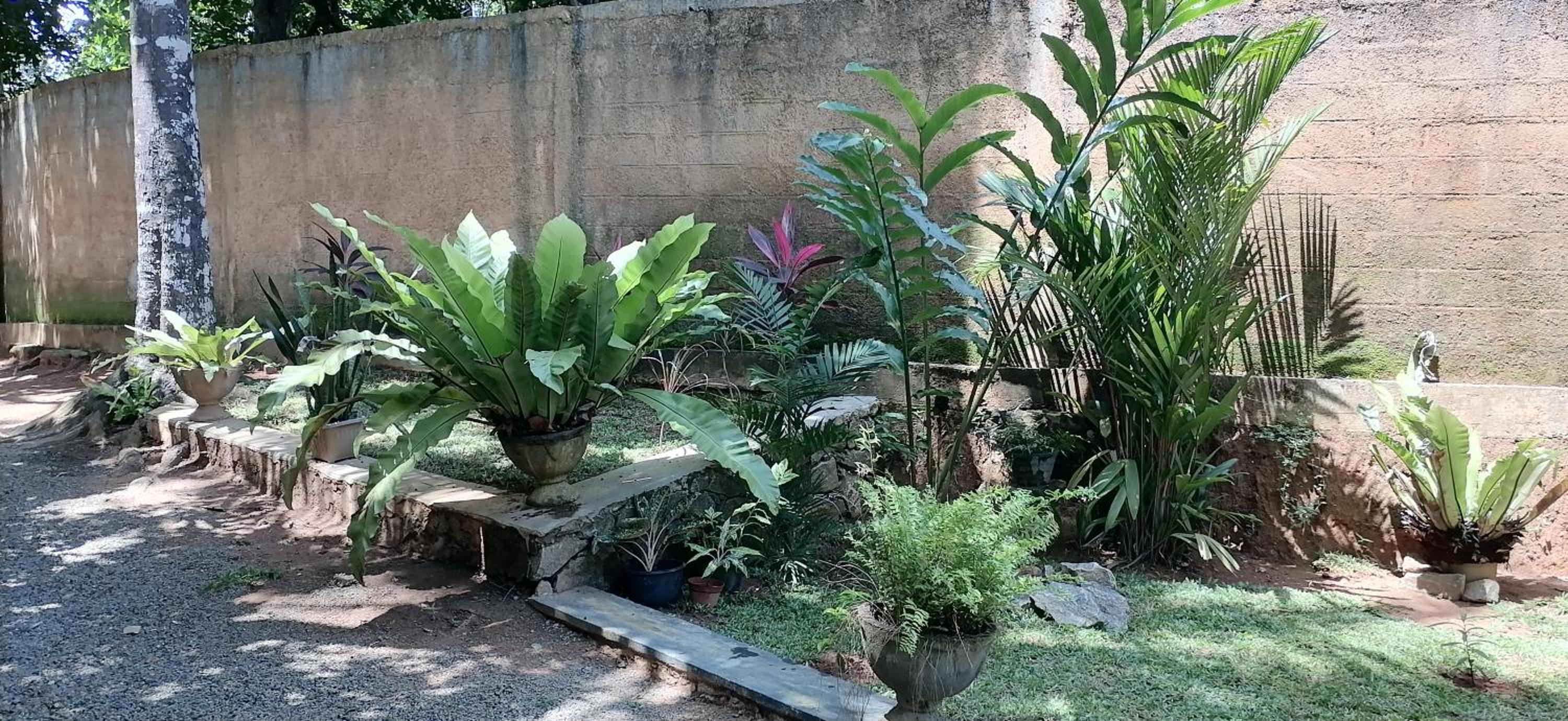 Villa Nature Heaven view 3