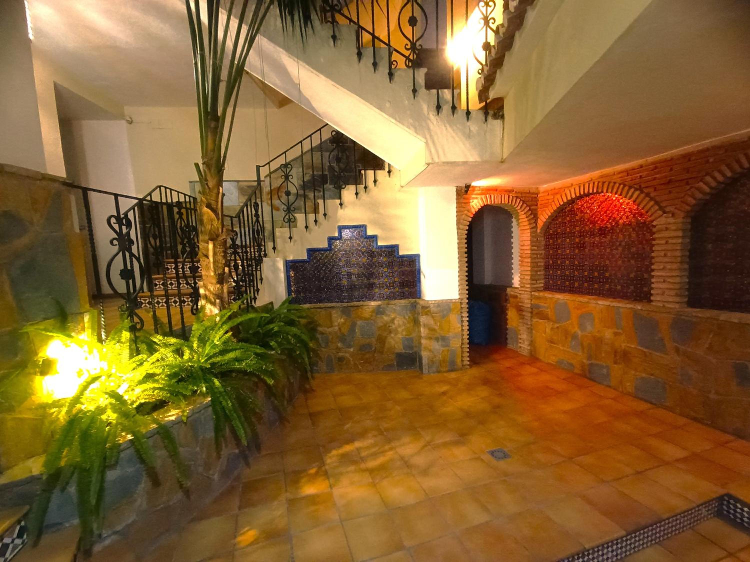 Flamencos del cerrado