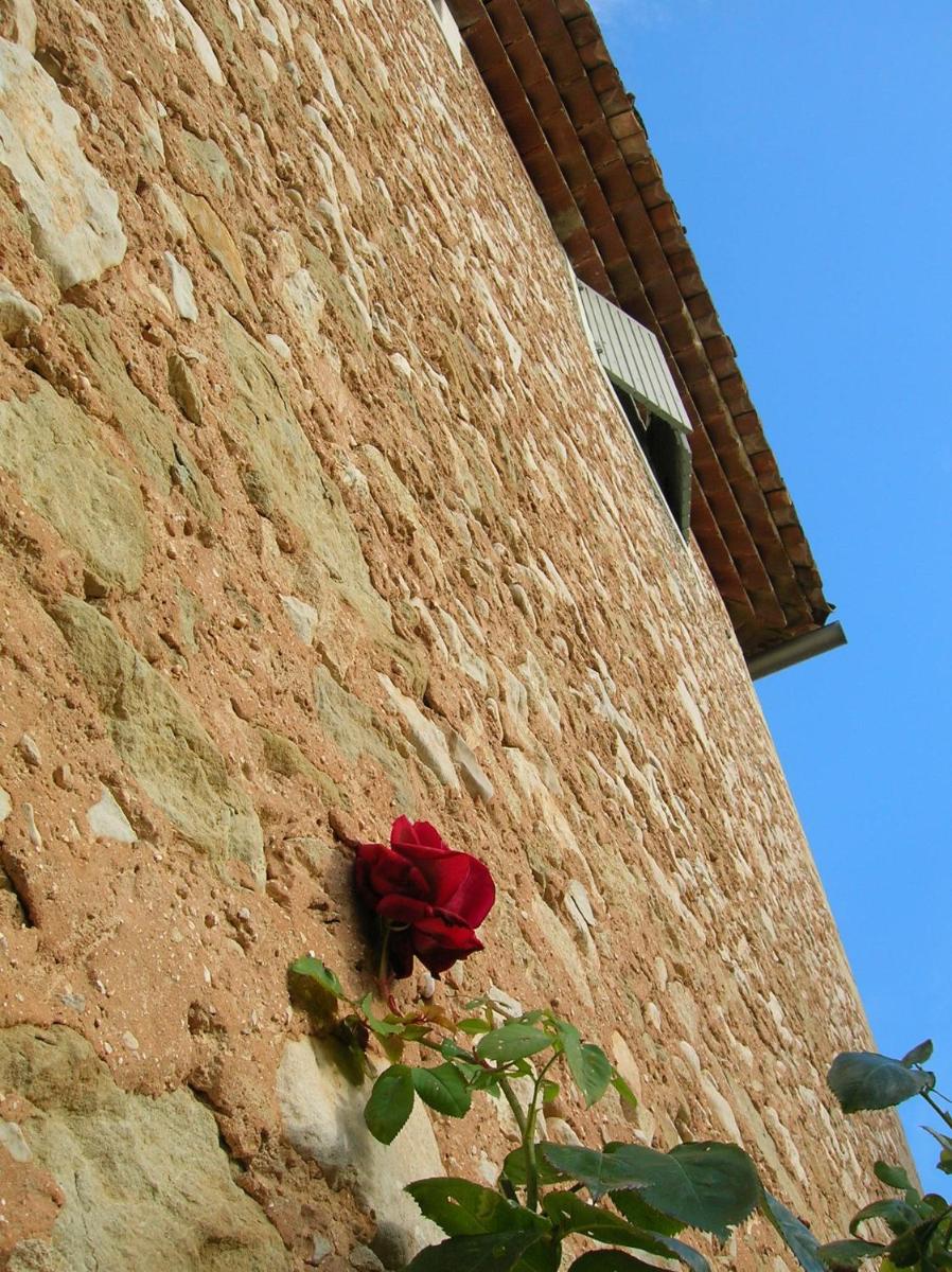 Photo 38