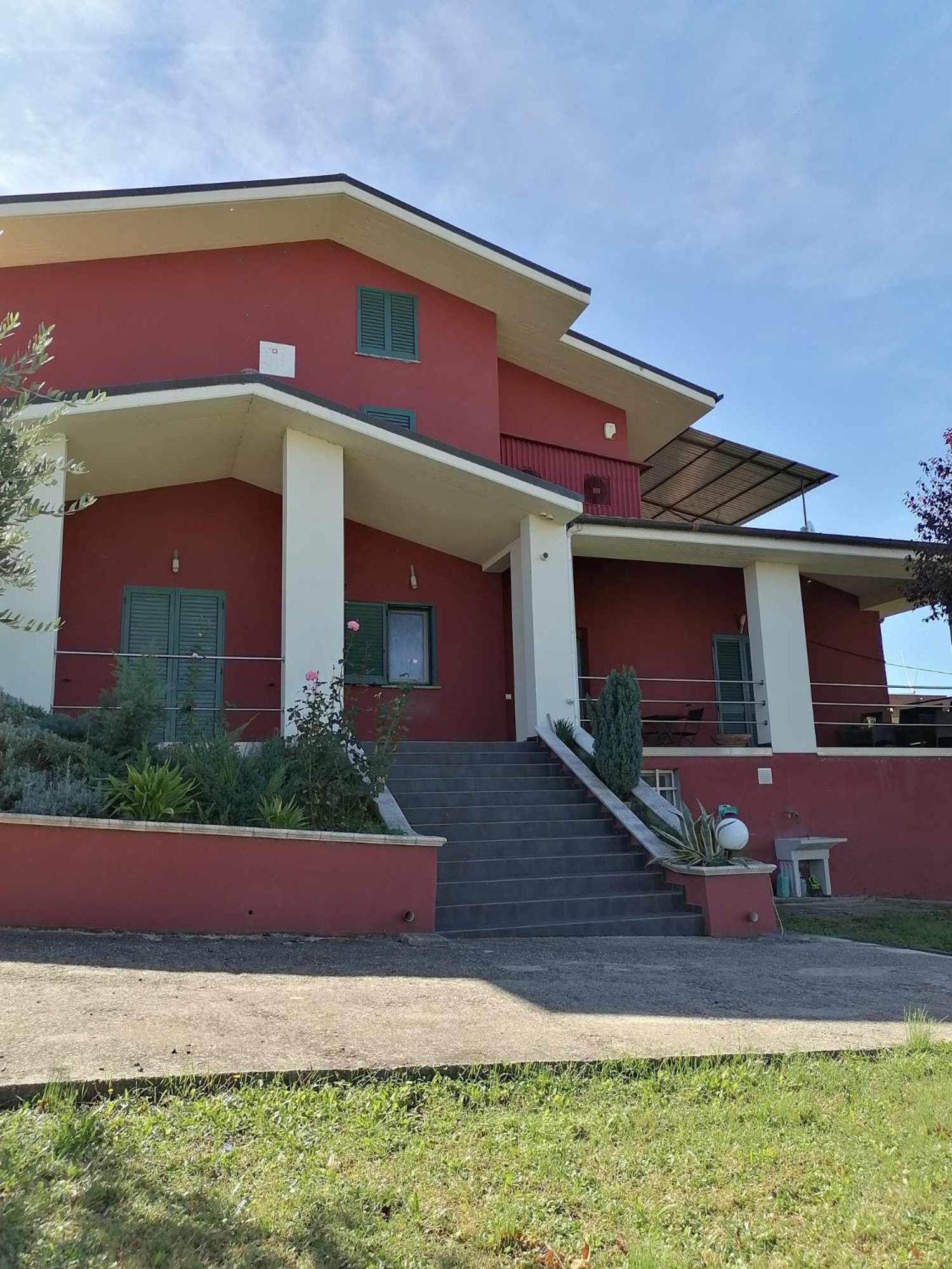 Photo 43