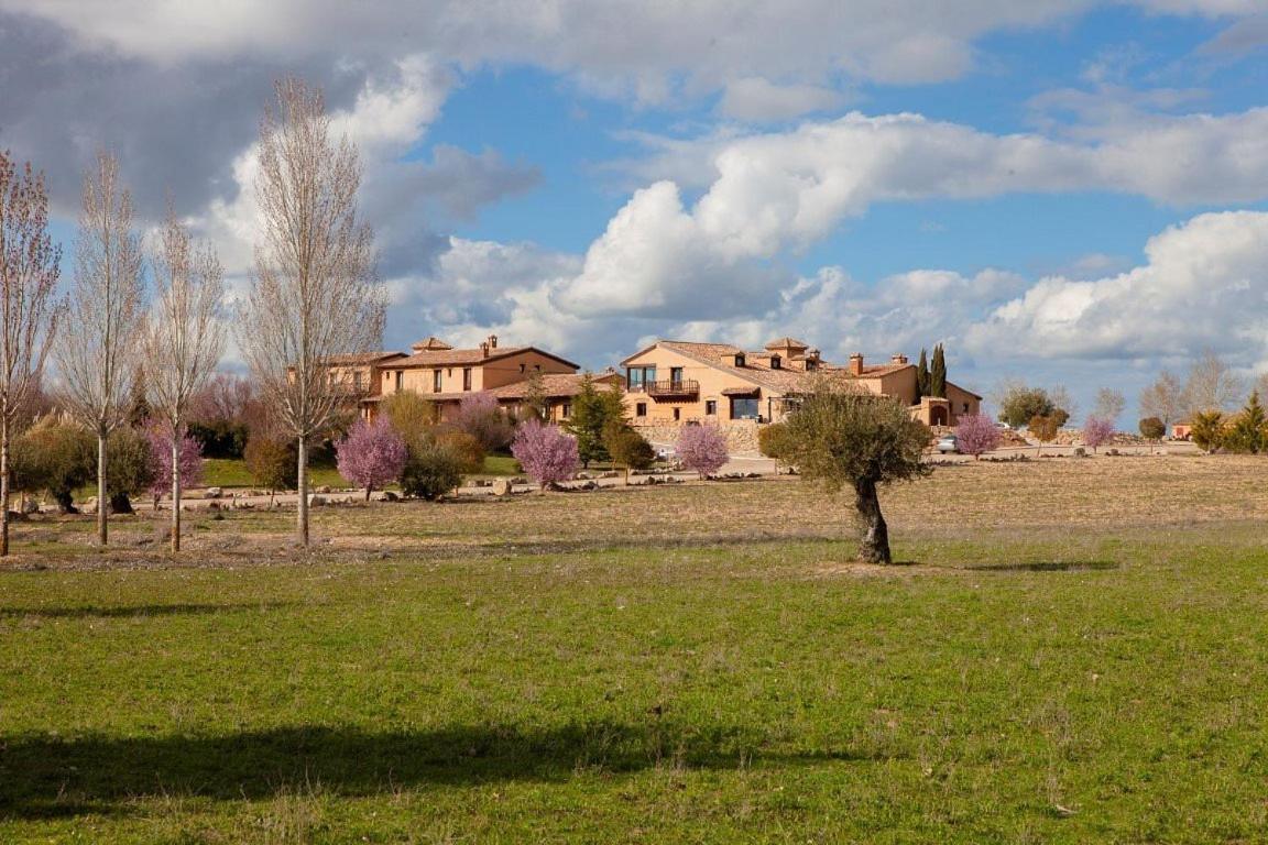 Las Viñas Pinilla