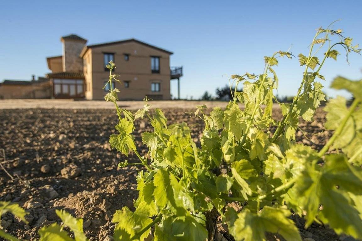 Las Viñas Pinilla