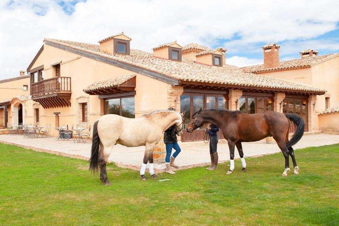 Las Viñas Pinilla