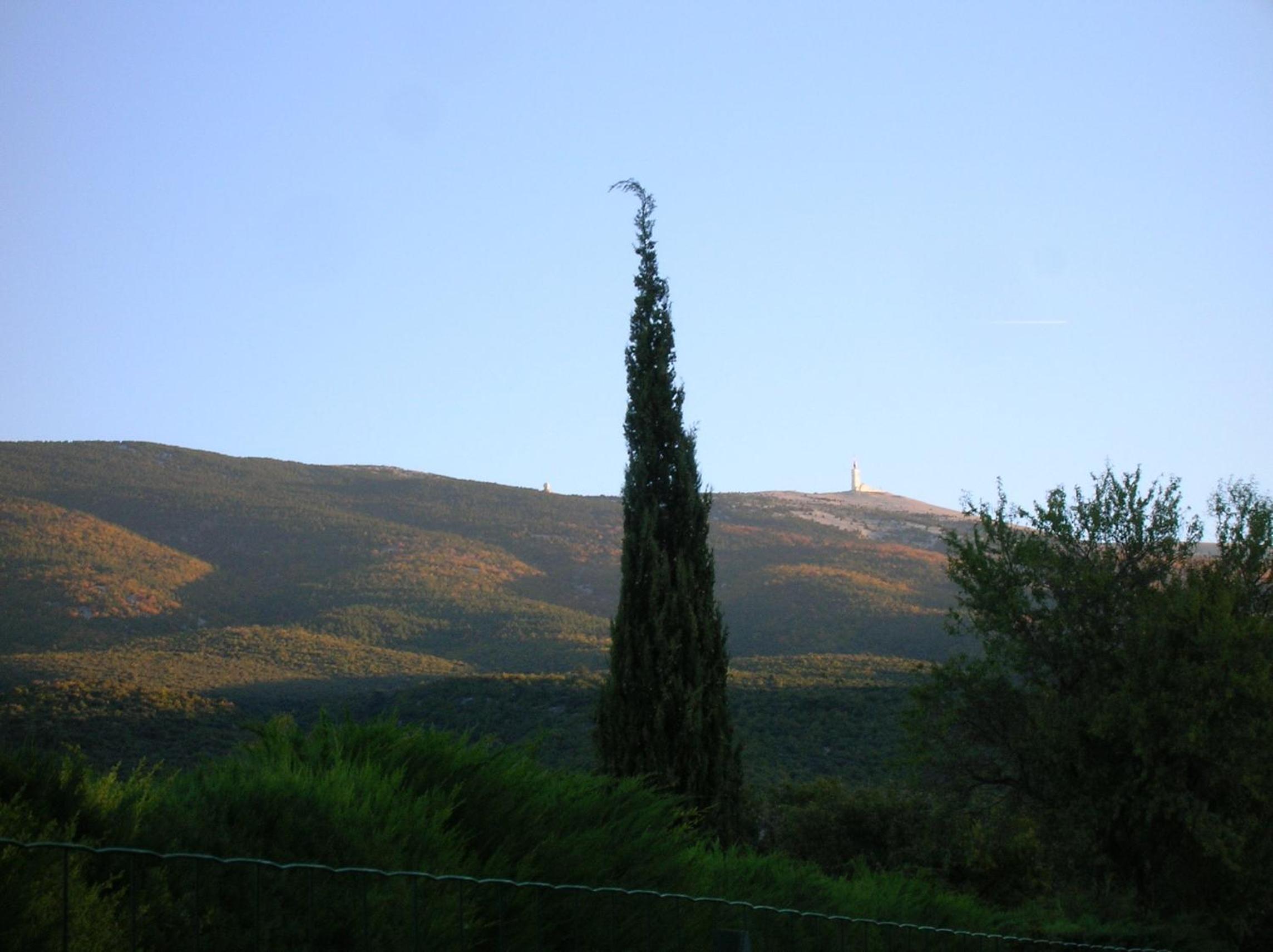 Photo 42
