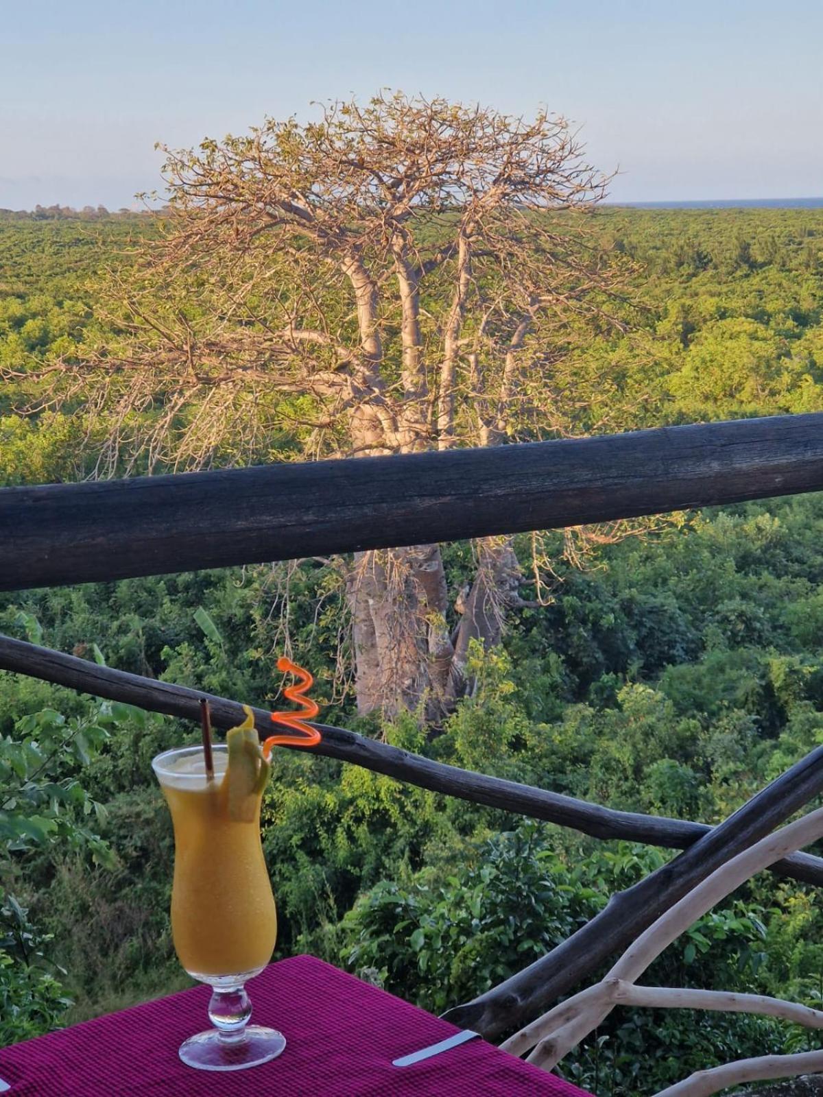 MONKEY MOUNTAIN LODGE