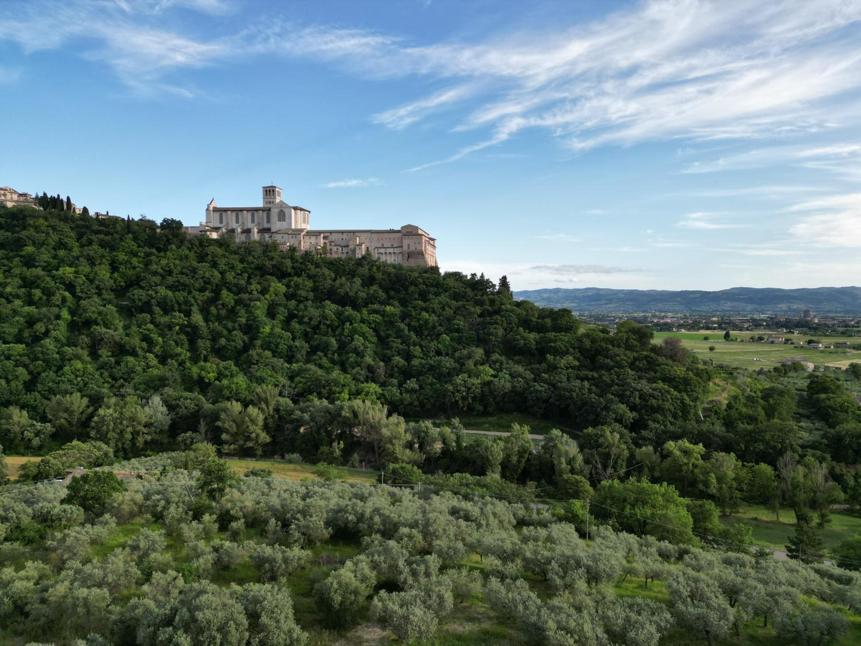 La Casa Tra Gli Ulivi view 5