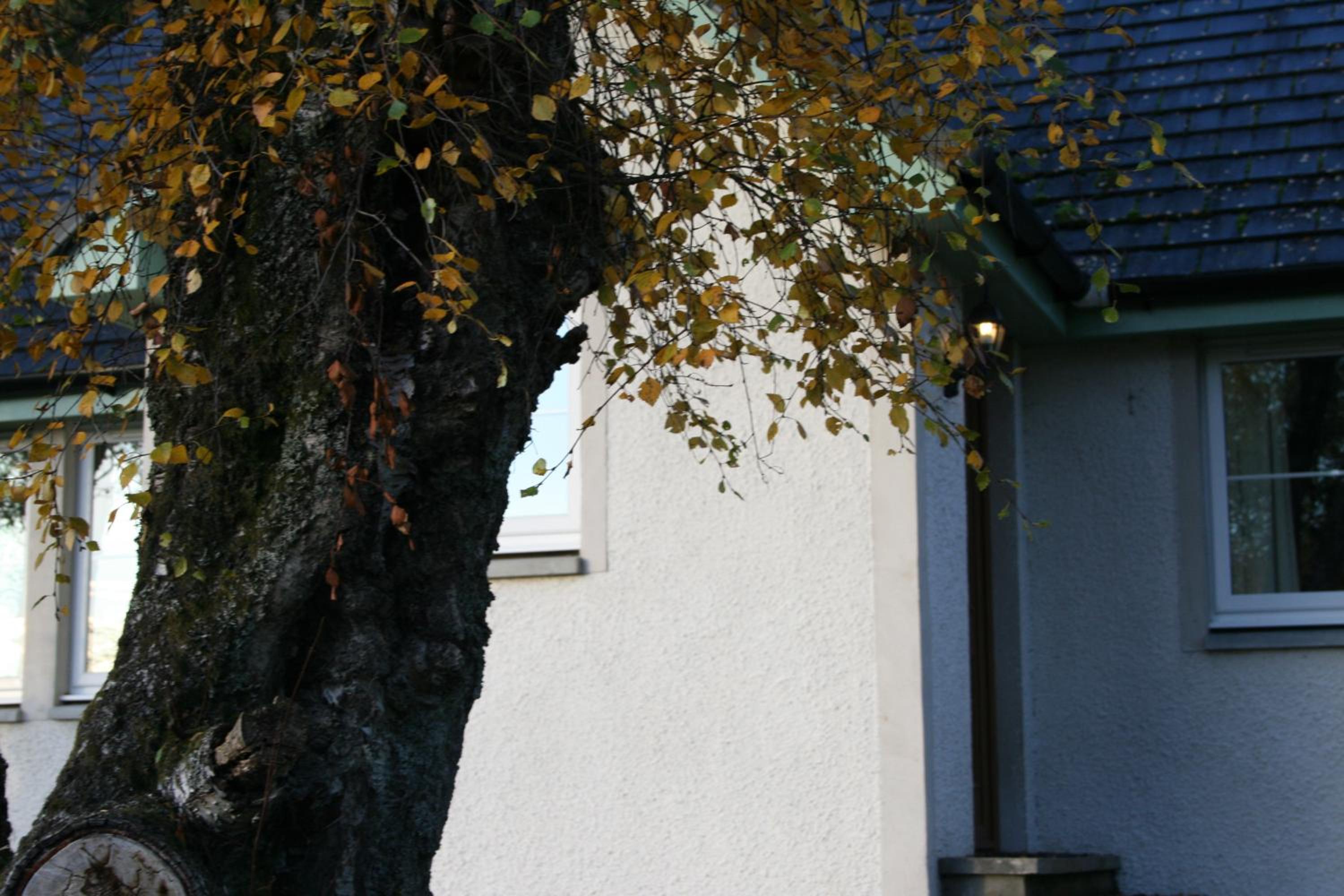 Photo 38