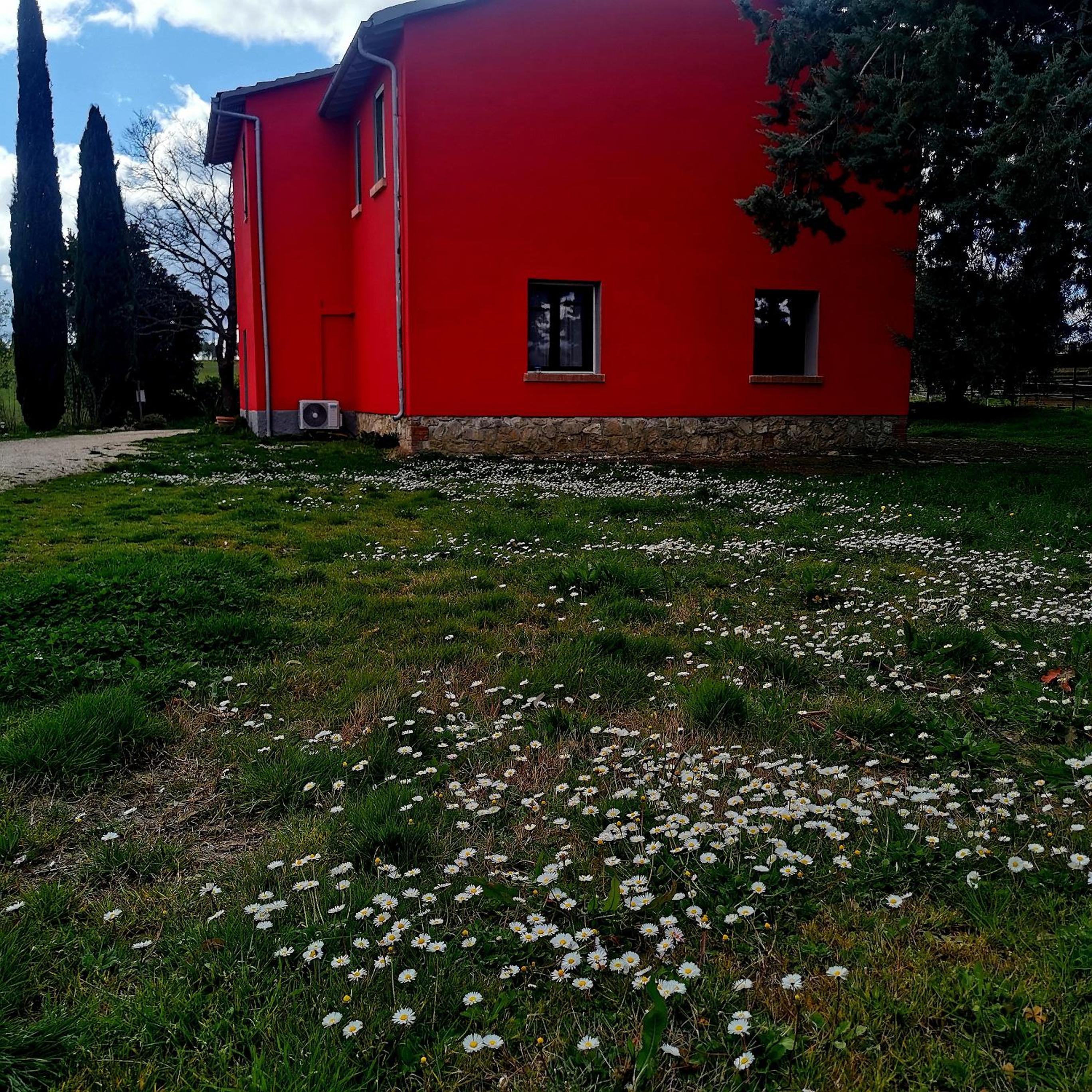 Photo 24