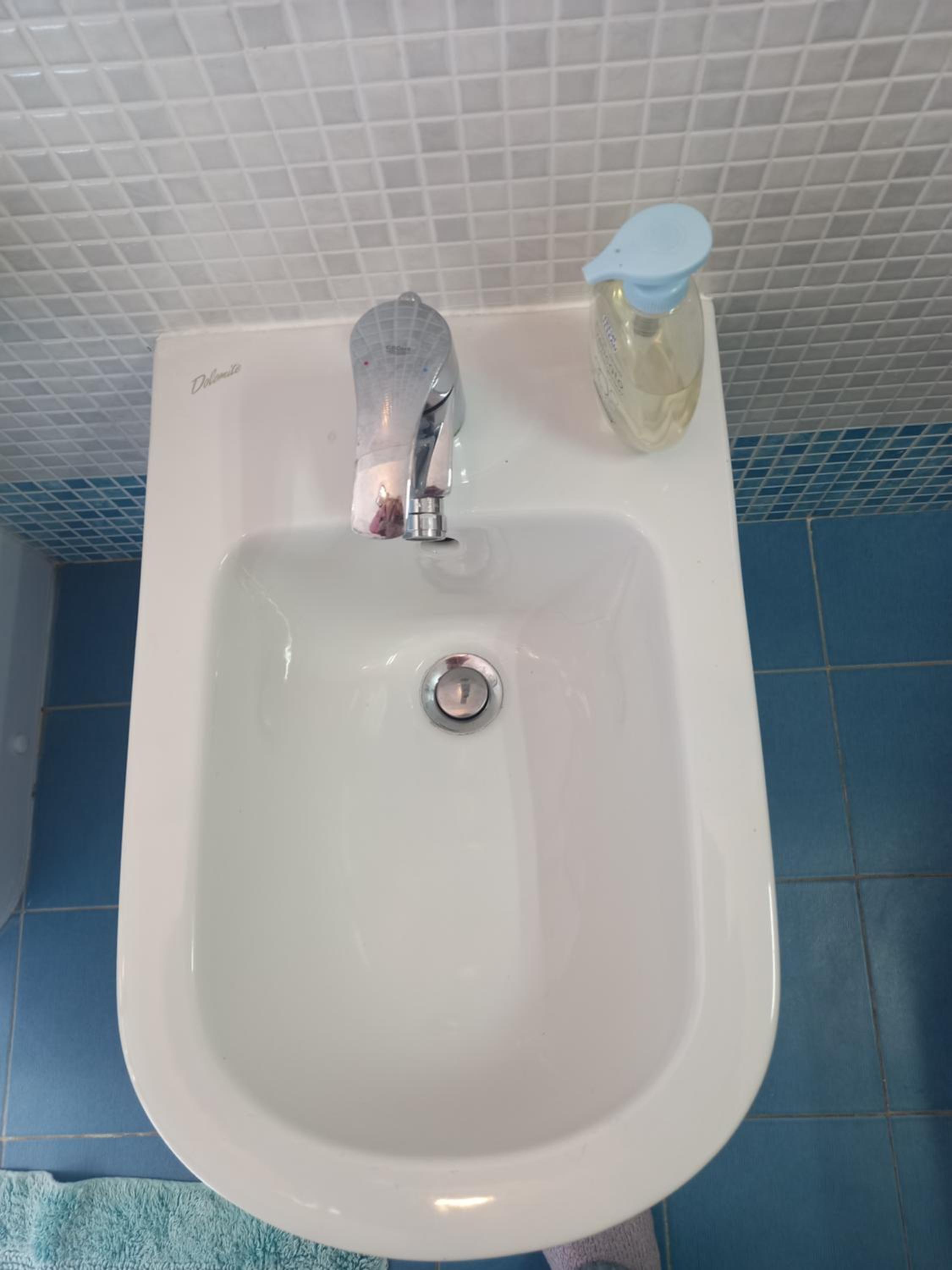 B&B Le Camelie del Bosco