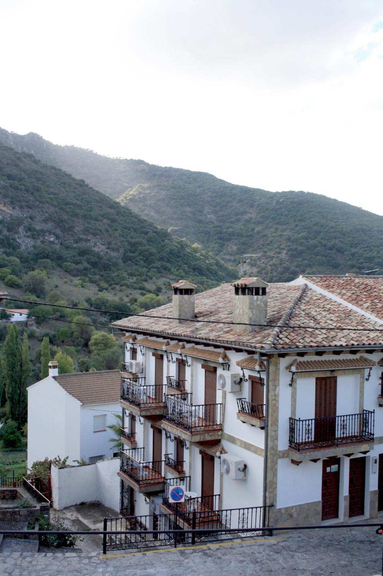 El Mirador view 5