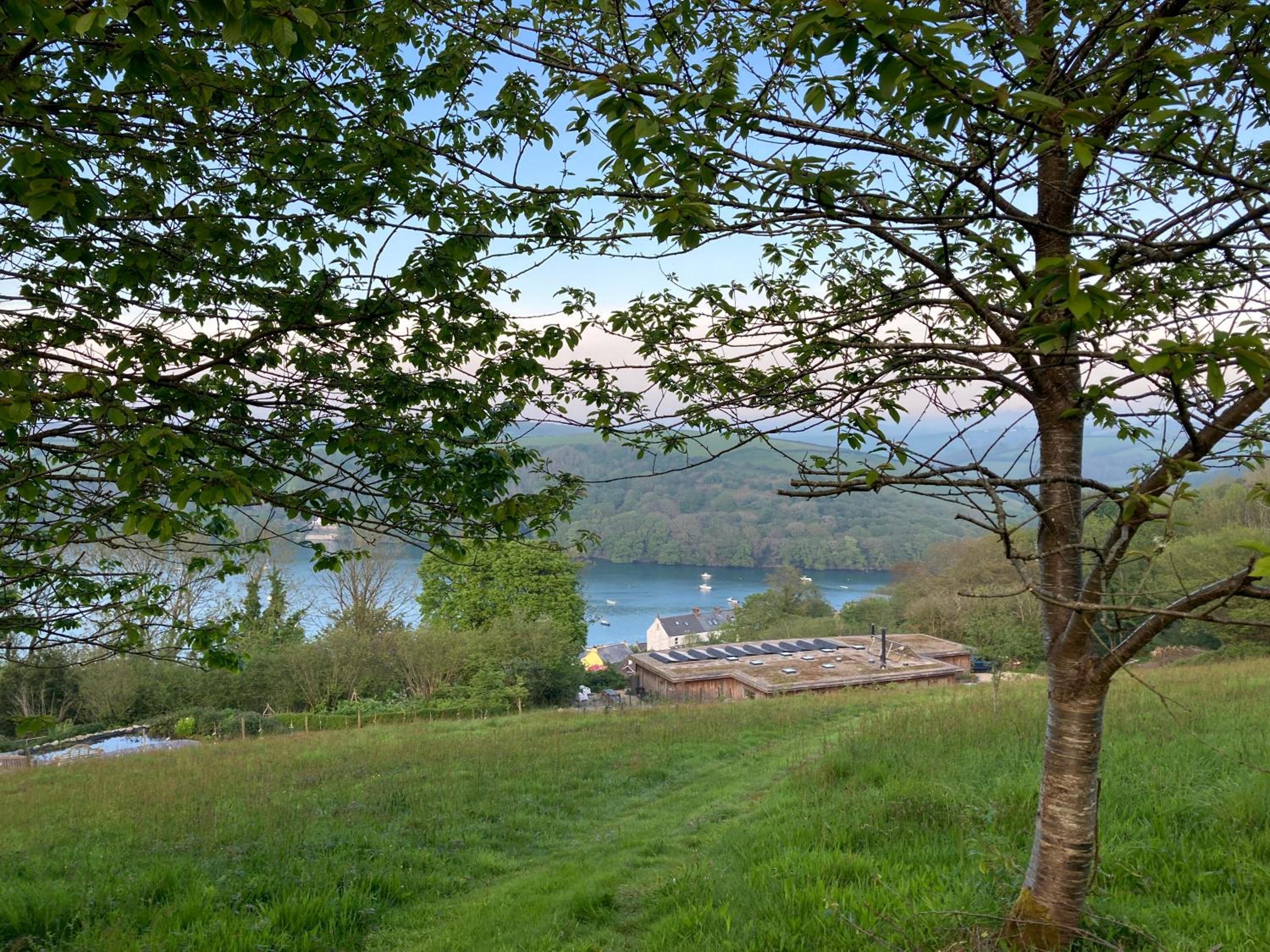 Photo 27