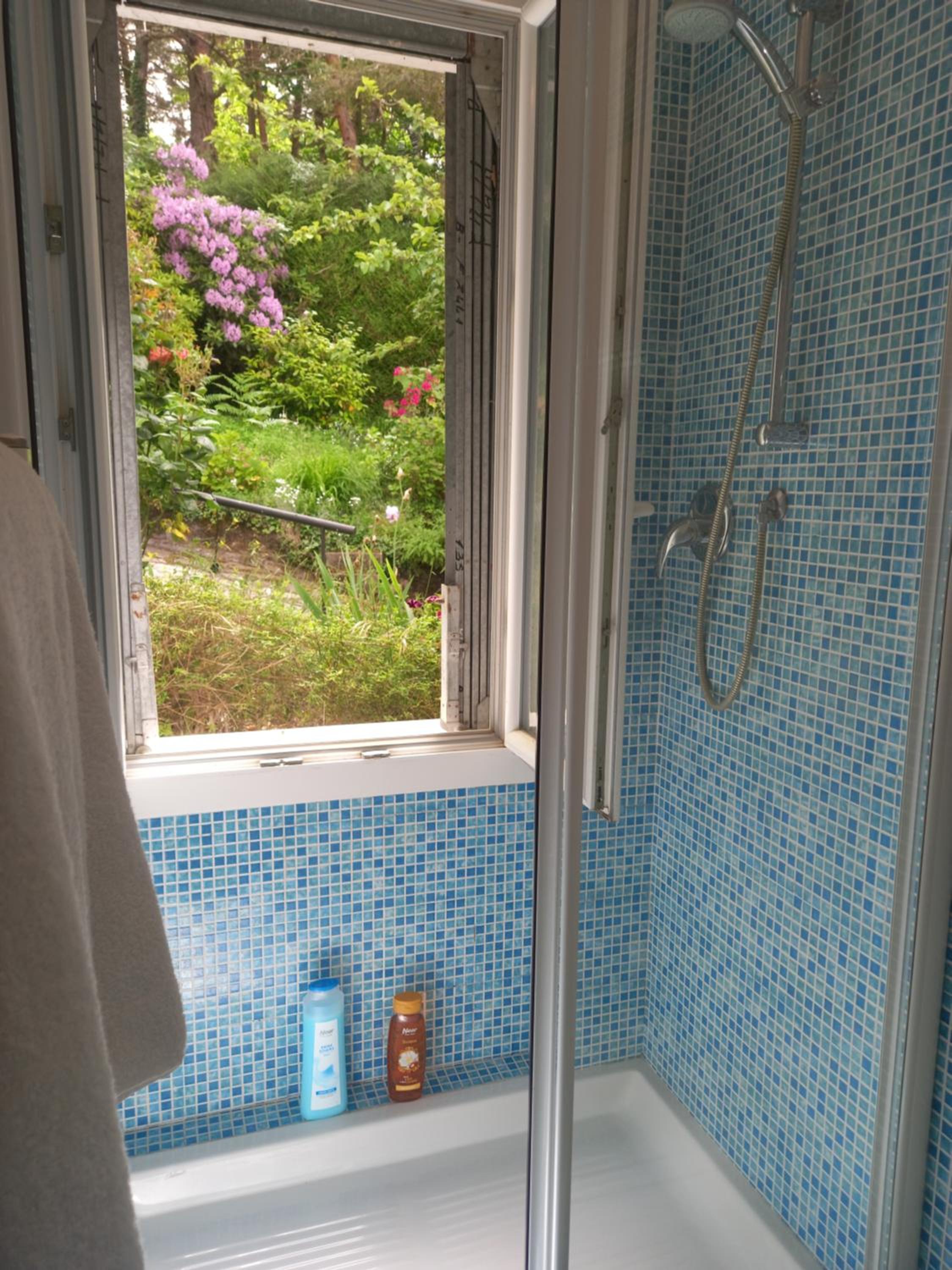 B&B Le Camelie del Bosco
