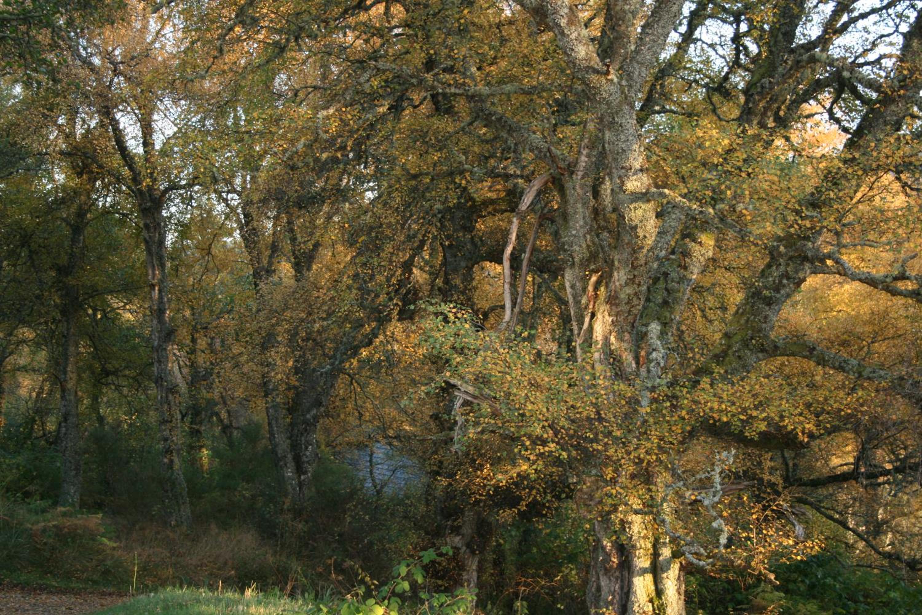 Photo 40