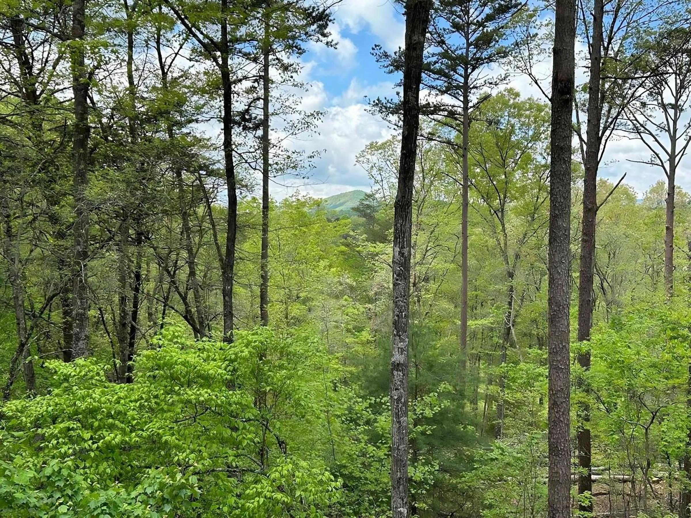 Blue Ridge Mountain Cabin Retreat with Hot Tub & Fire Pit view 4