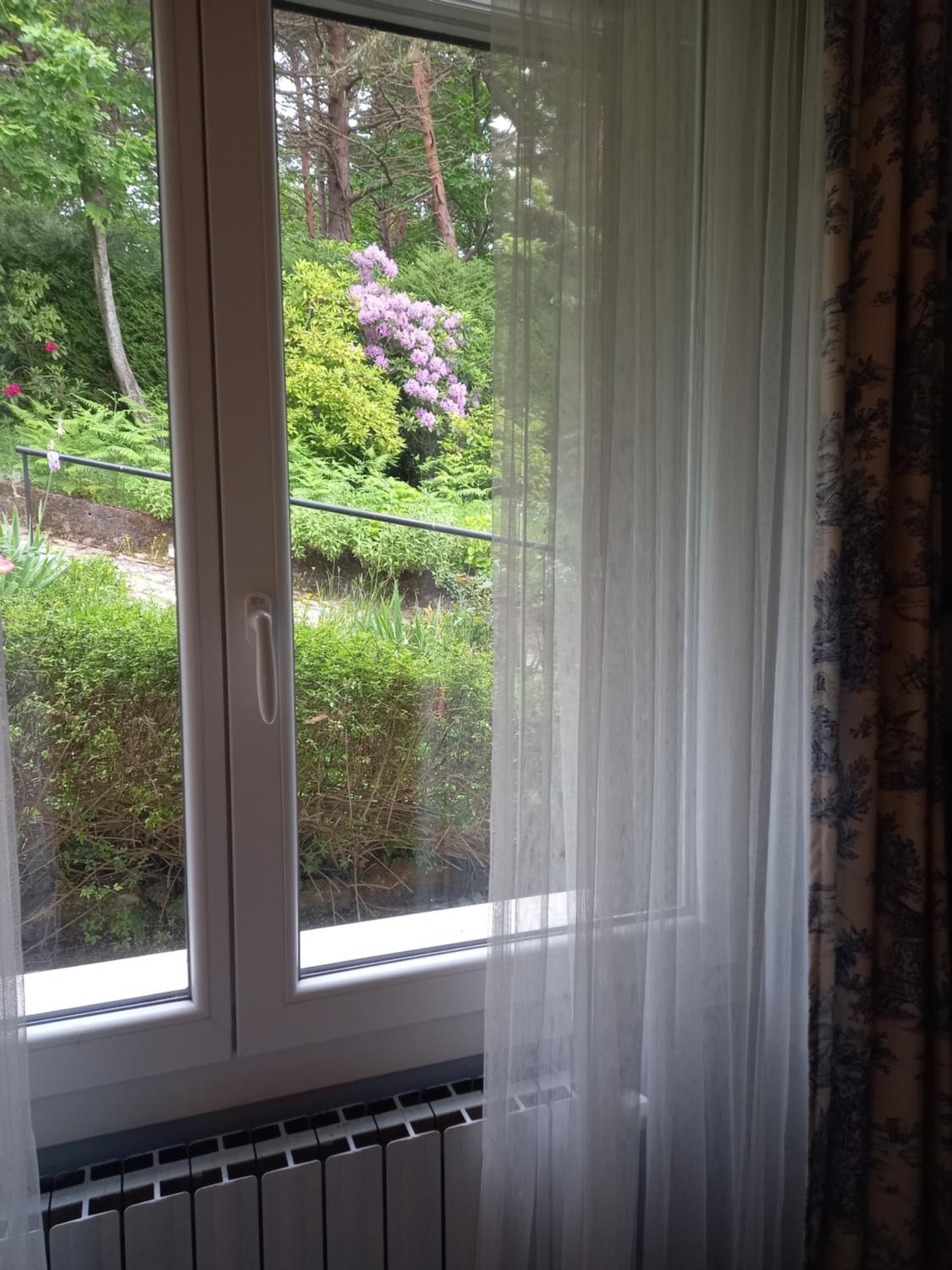 B&B Le Camelie del Bosco