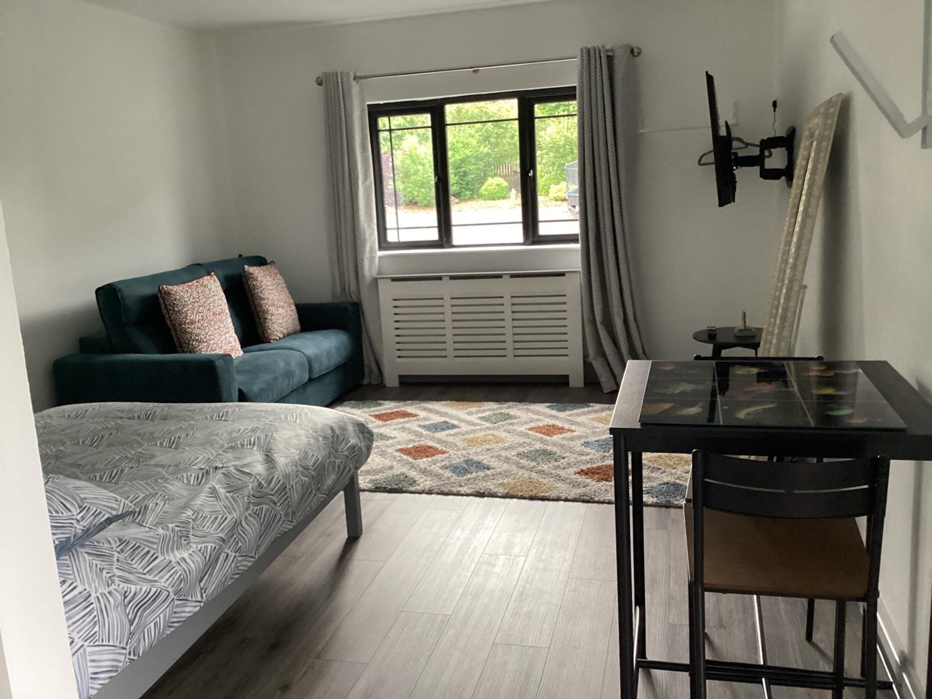 Studio apartment to rent view 3