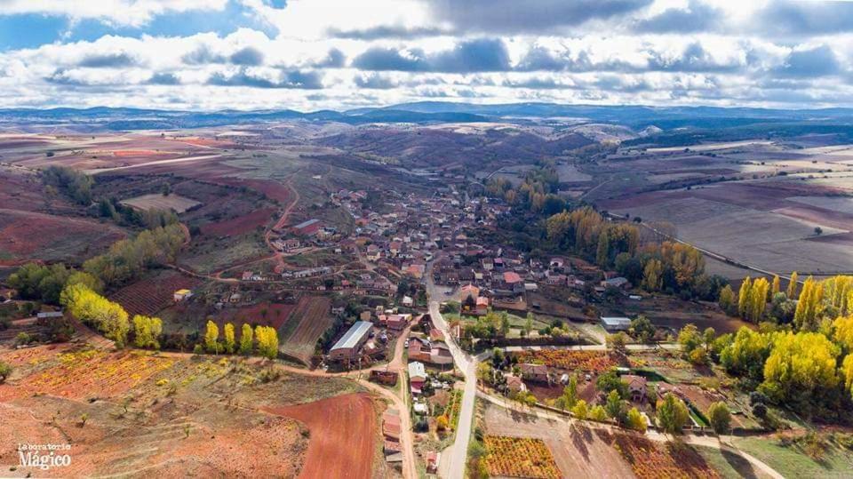 Entre Viñedos