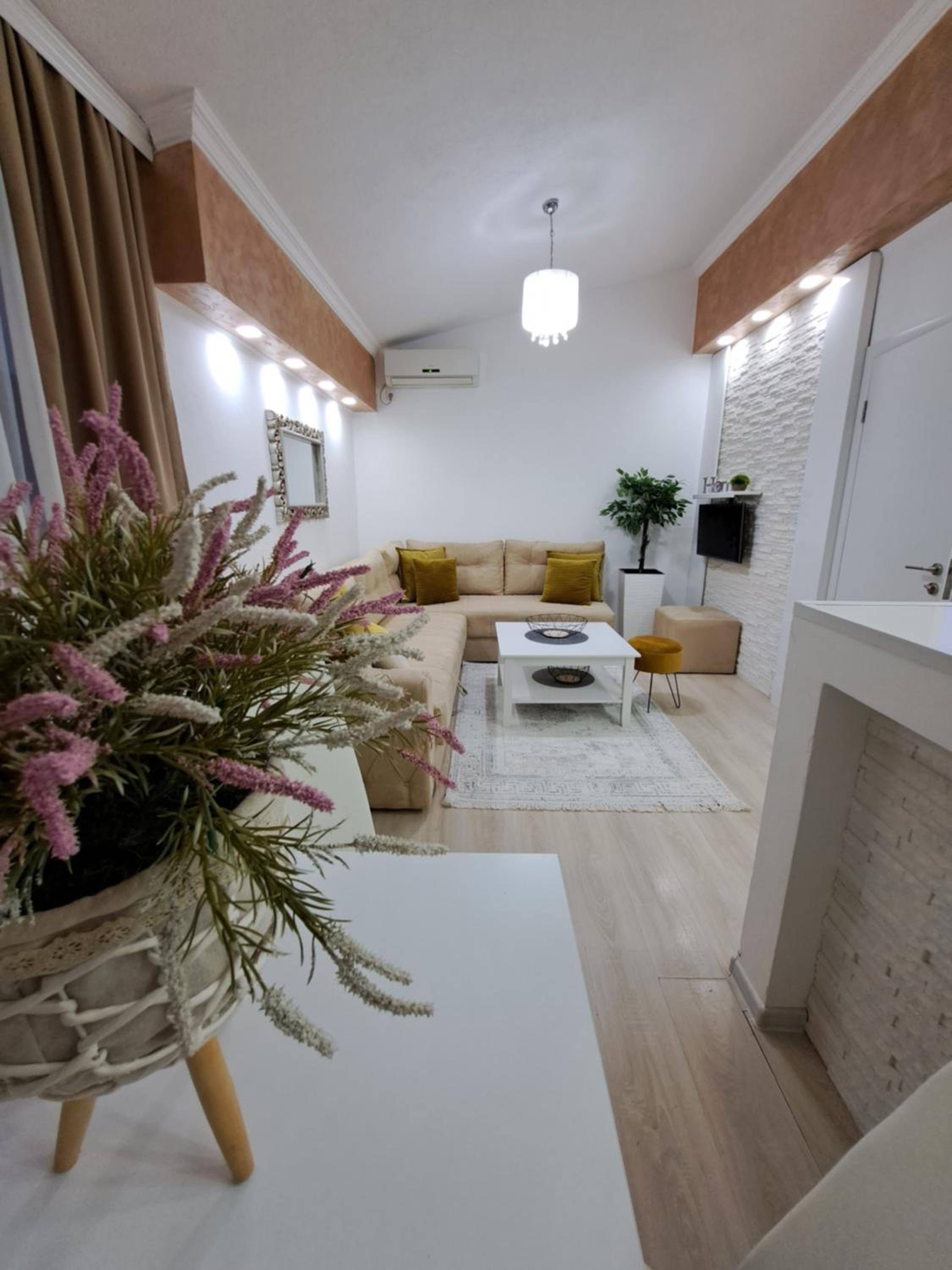 Apartments Pepdjonovic view 5